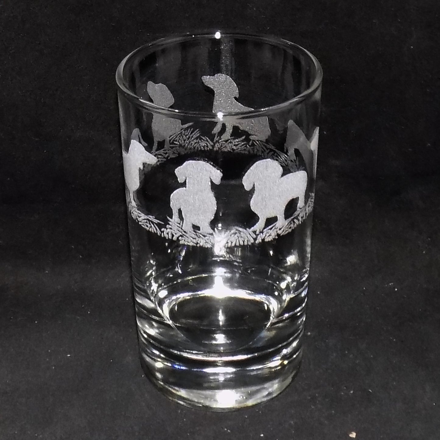 Dachshund (Short Haired) Tall Glass