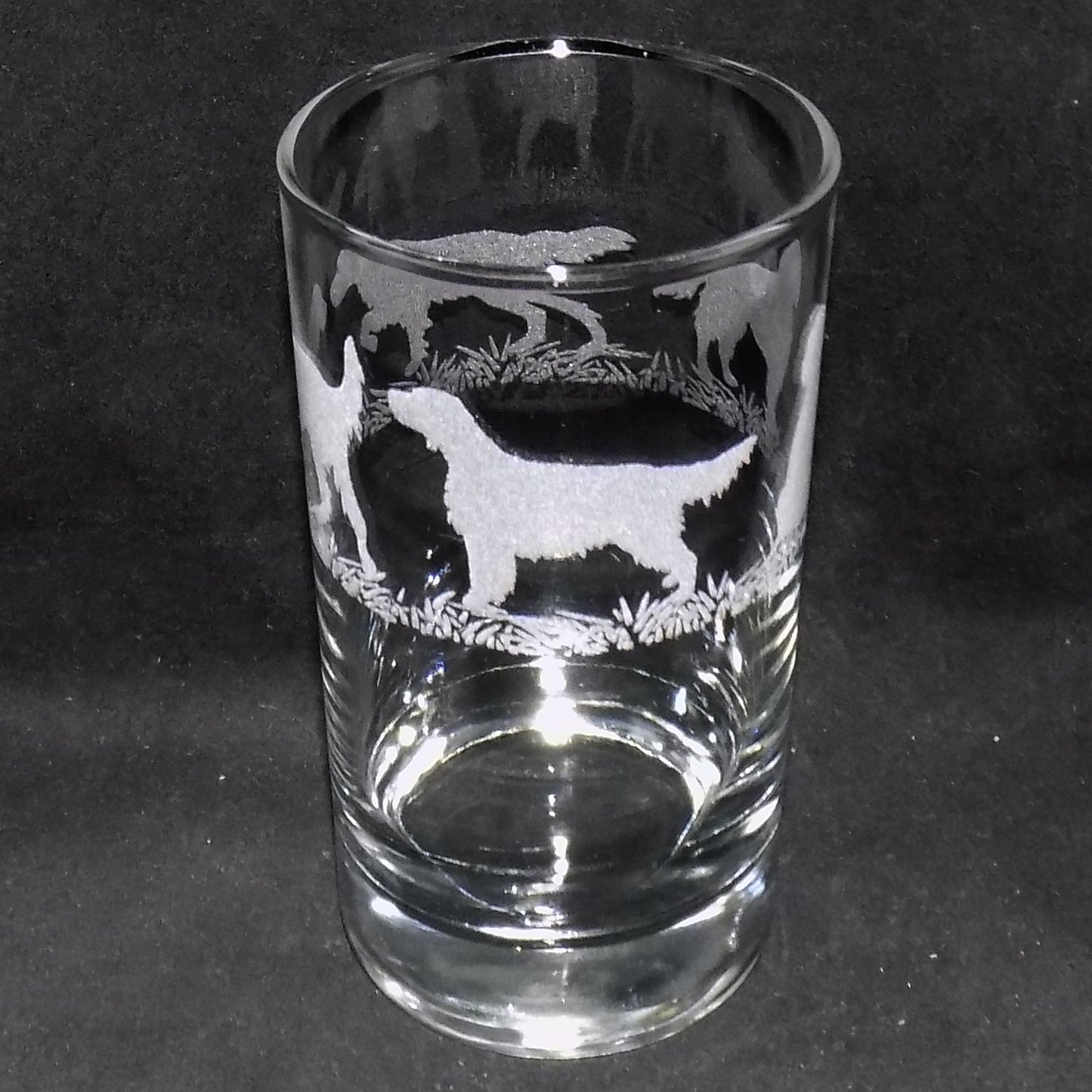English Setter Tall Glass