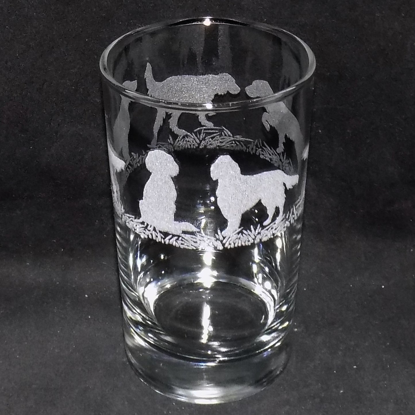 English Setter Tall Glass