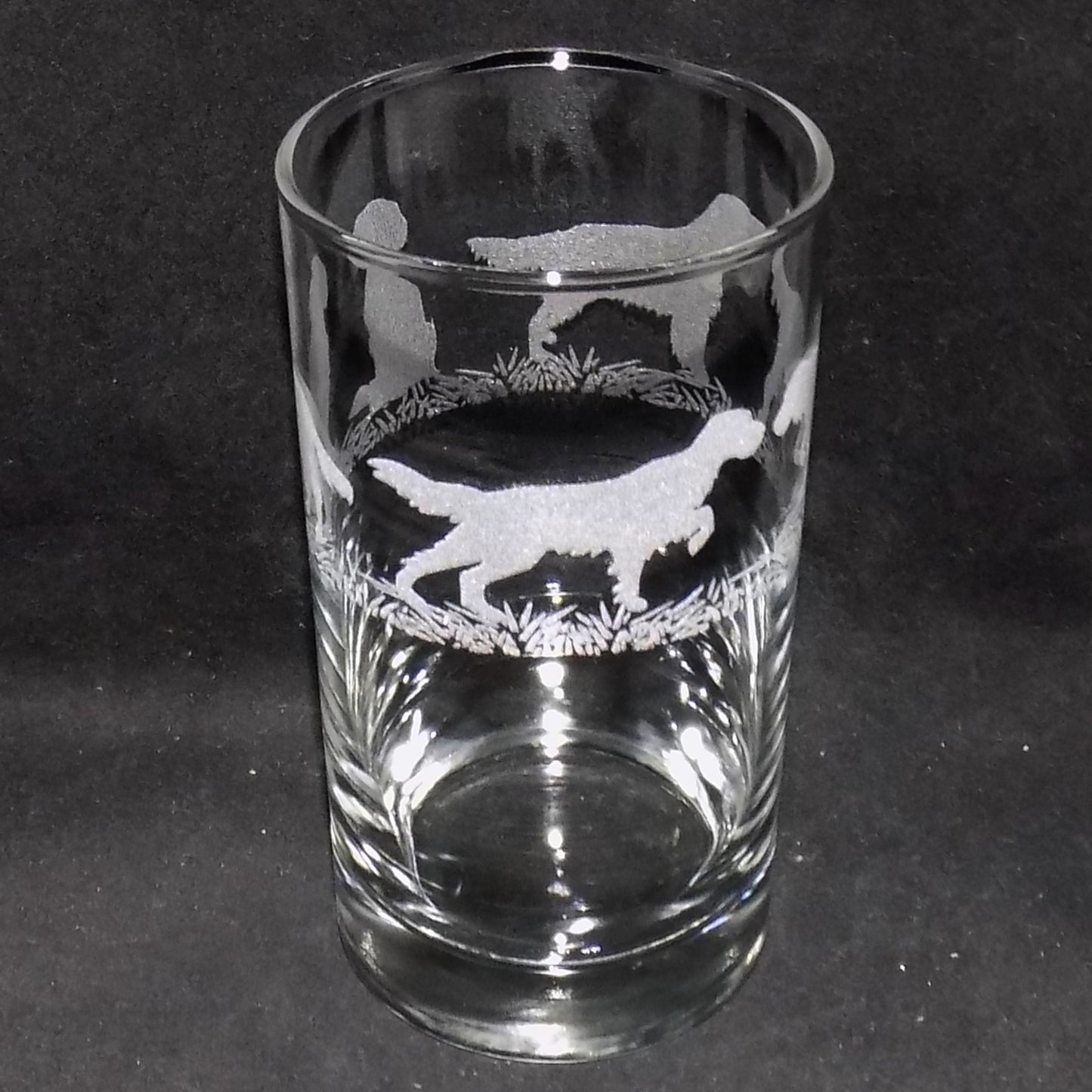 English Setter Tall Glass