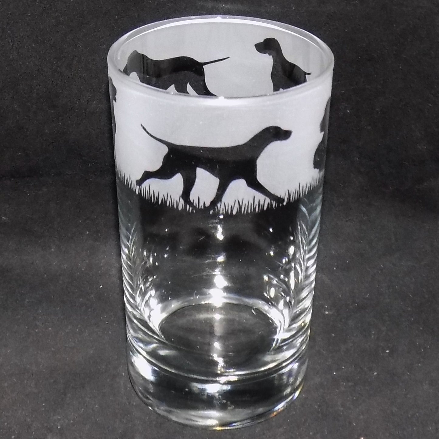 German Pointer Tall Glass