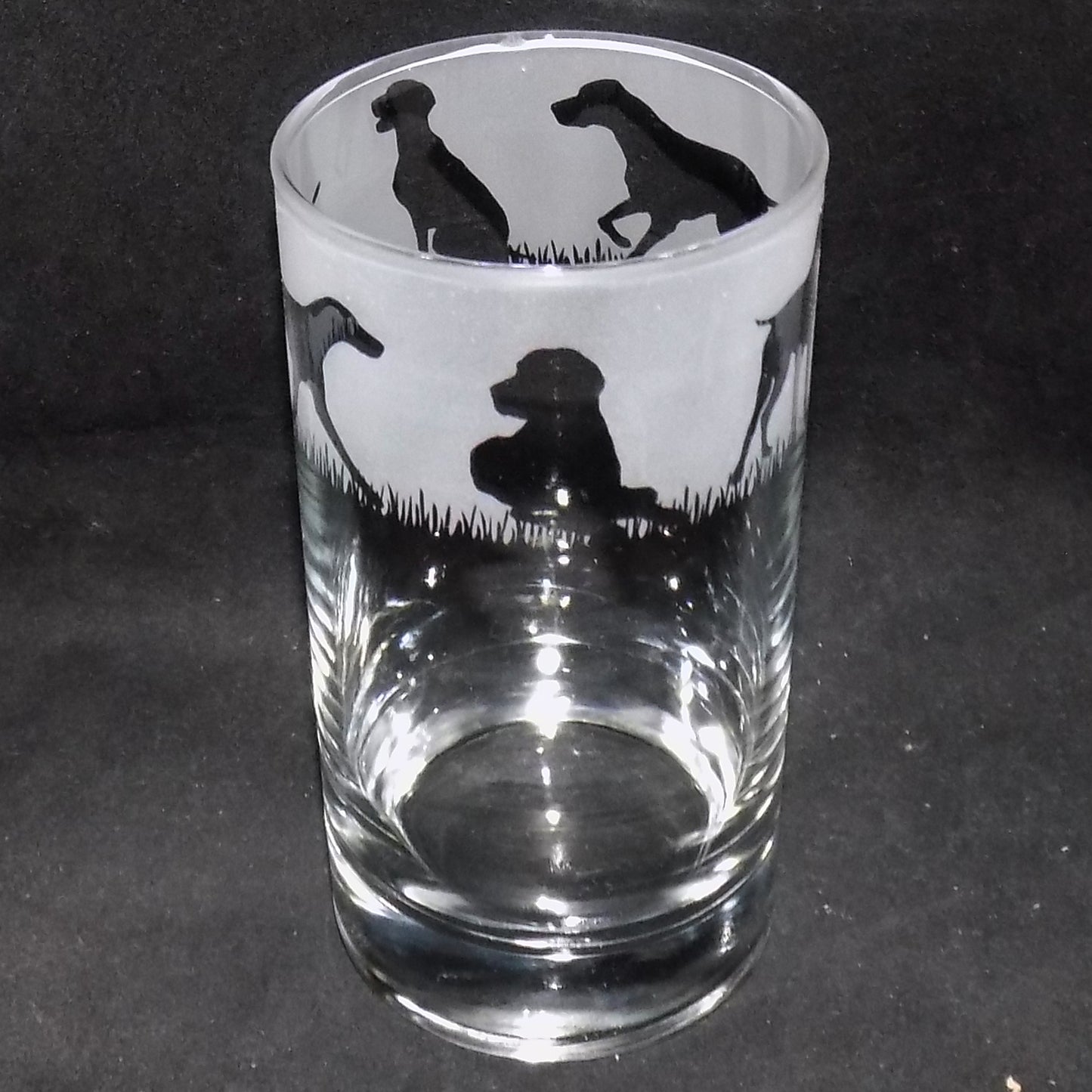 German Pointer Tall Glass