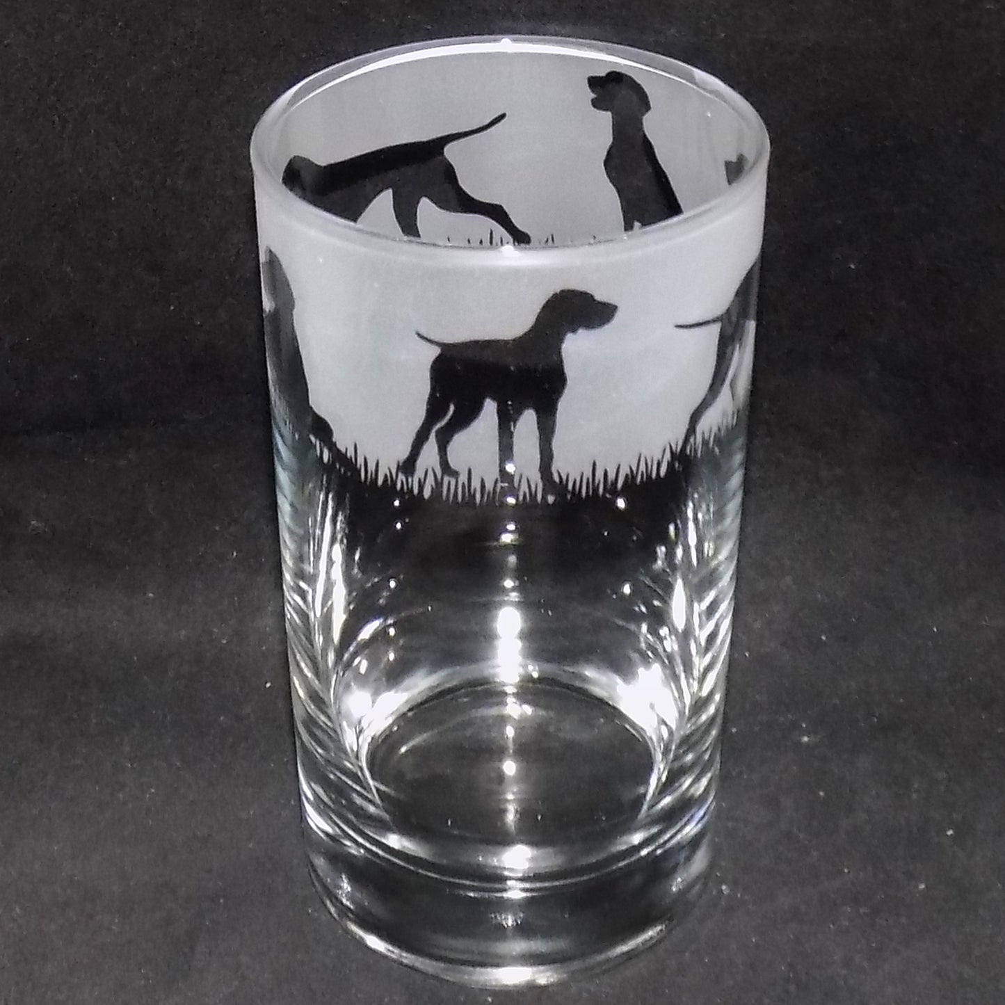 German Pointer Tall Glass