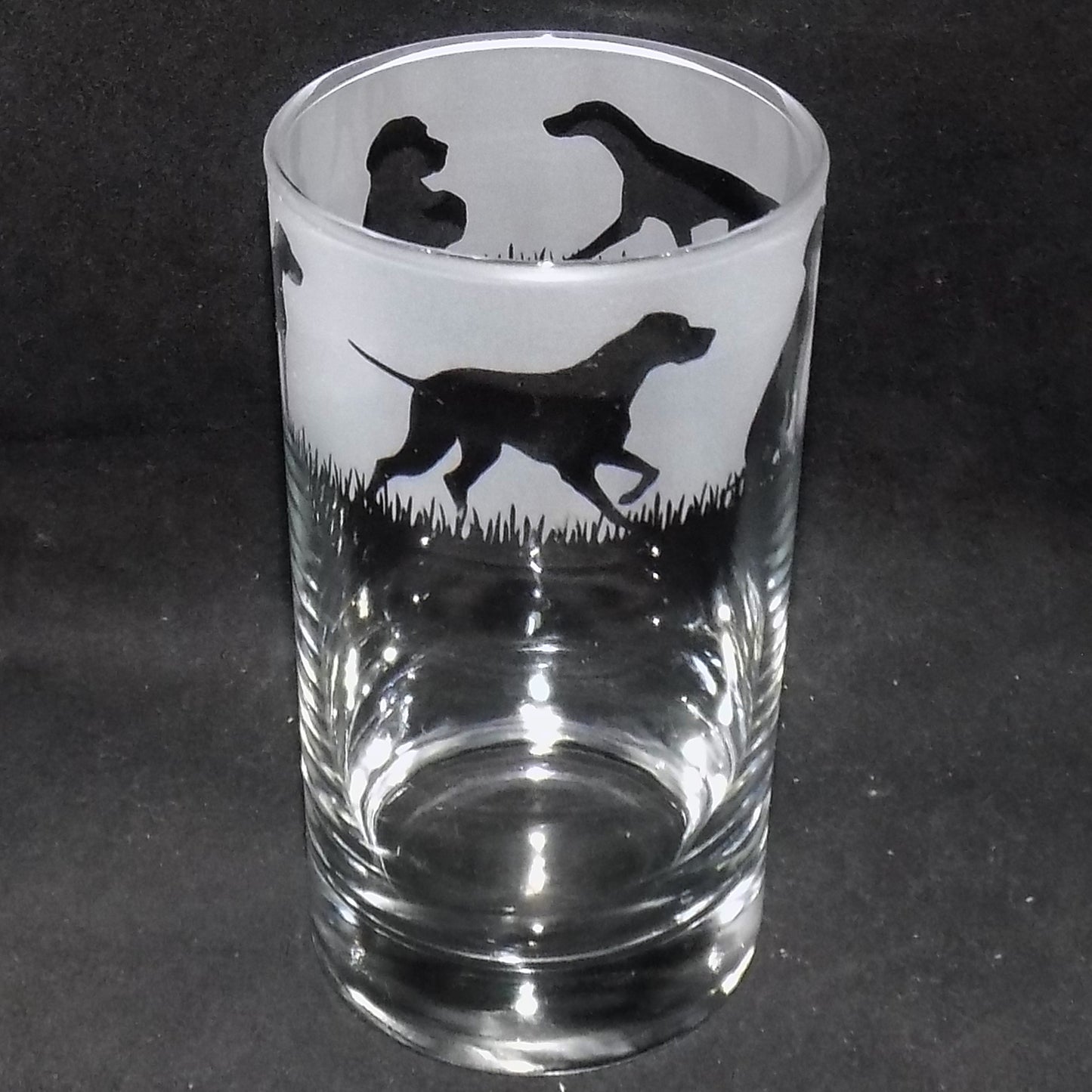 German Pointer Tall Glass