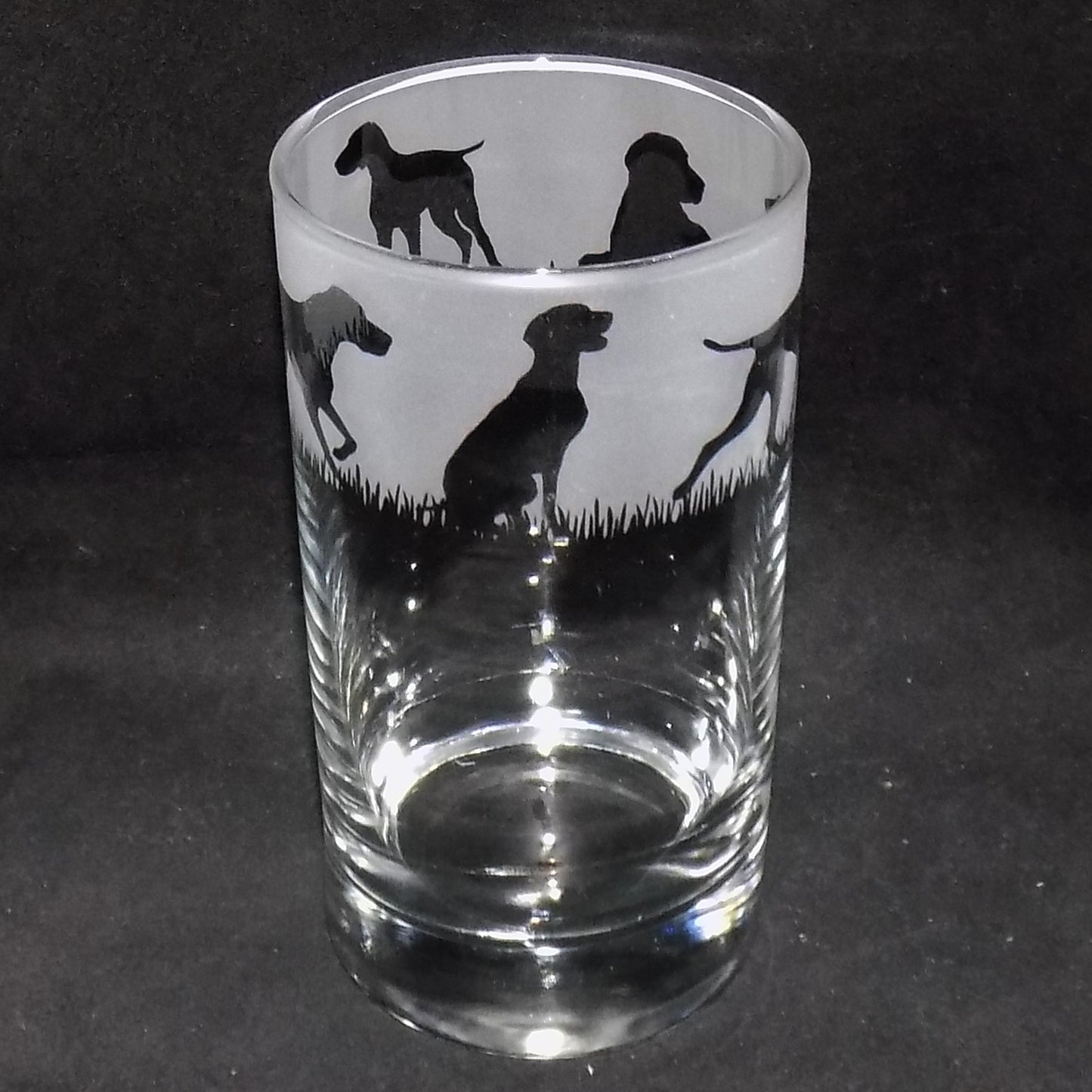 German Pointer Tall Glass