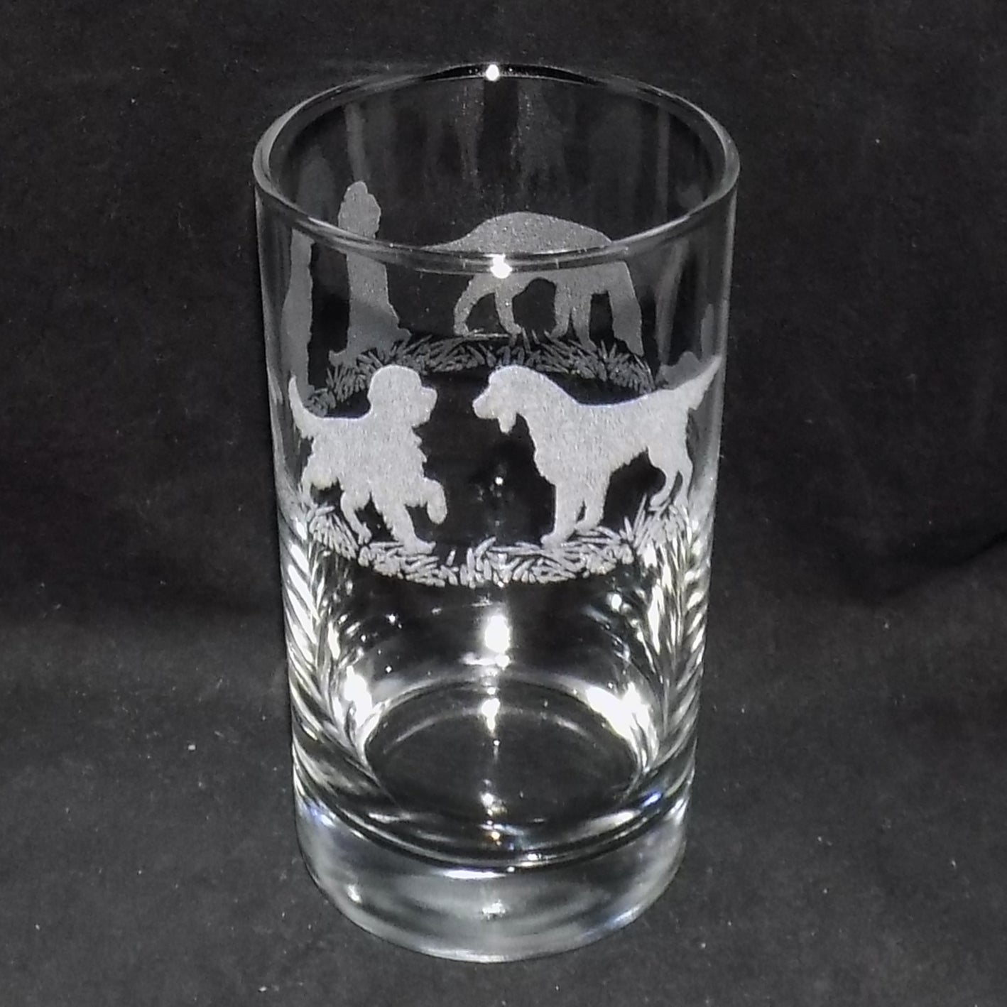 Irish Setter Hiball