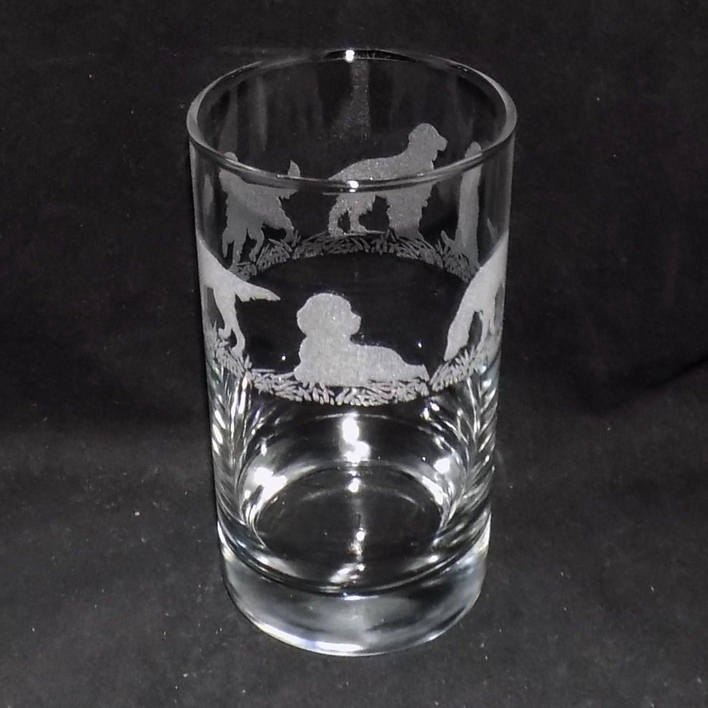 Irish Setter Hiball