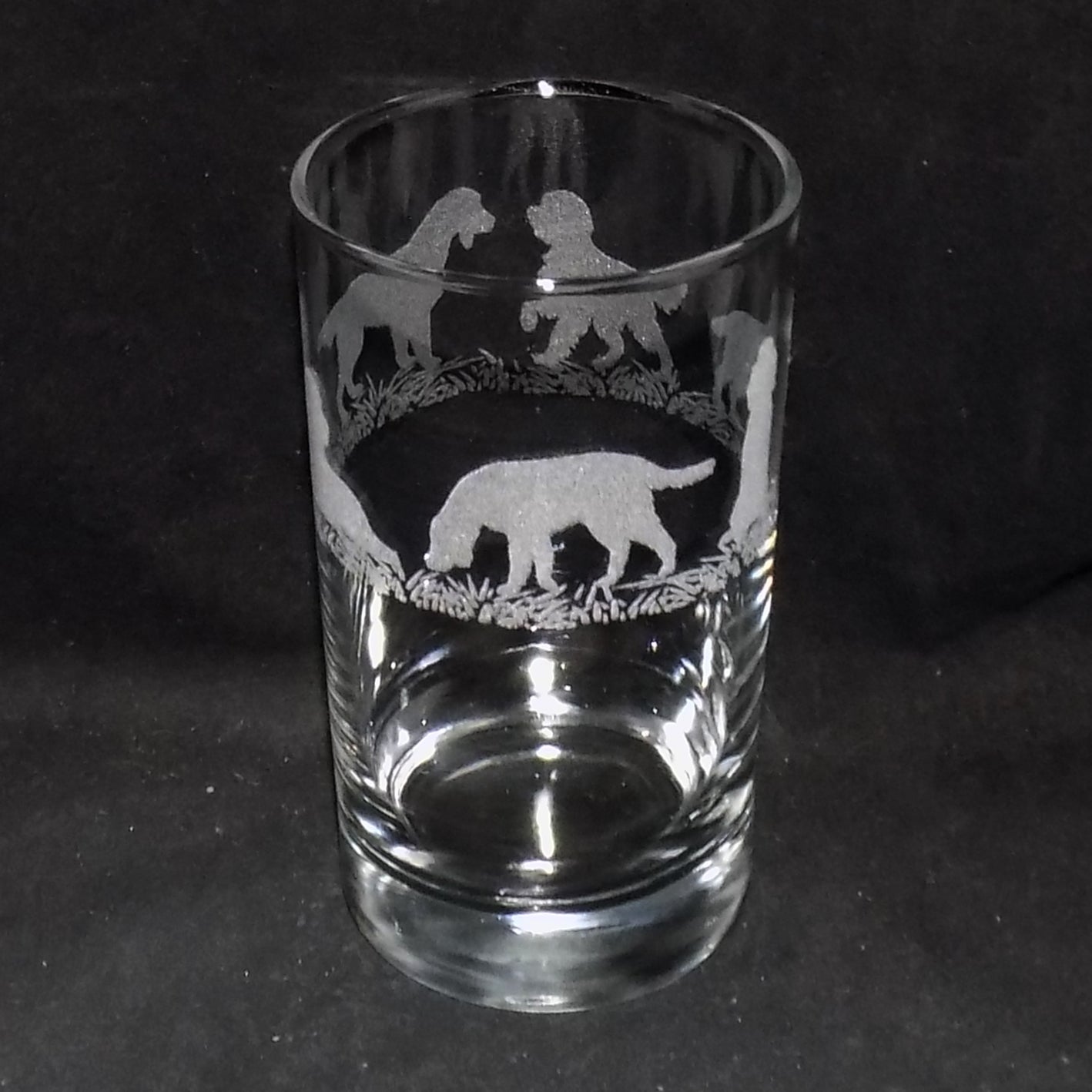 Irish Setter Hiball