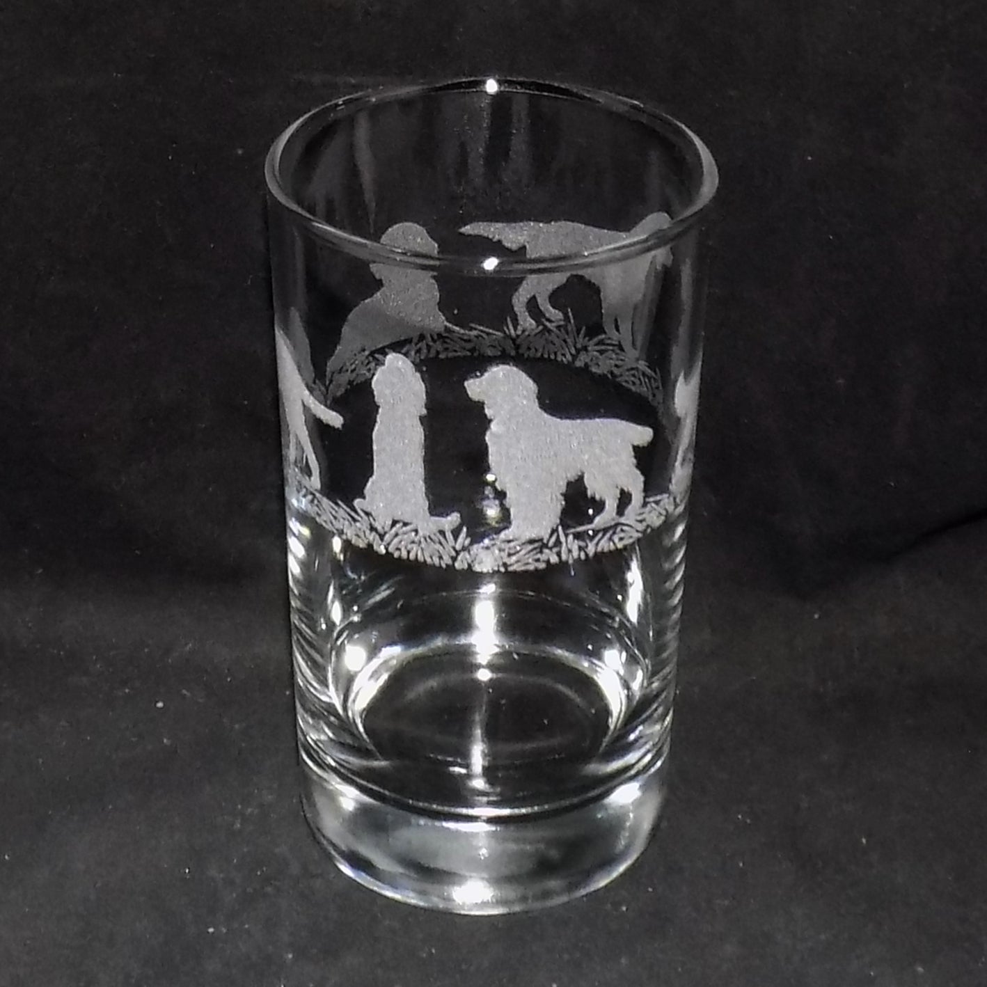 Irish Setter Hiball