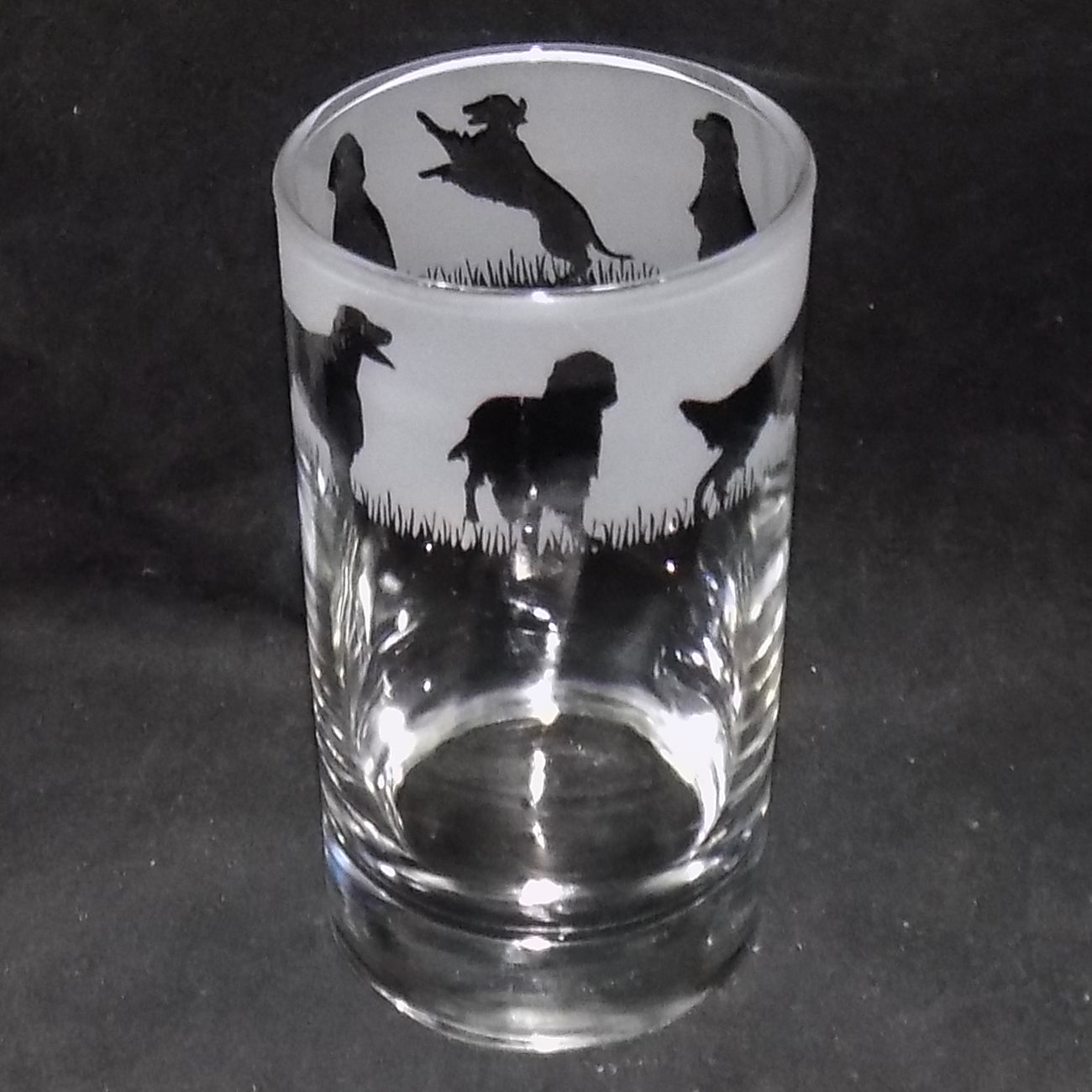 Irish Setter Tall Glass