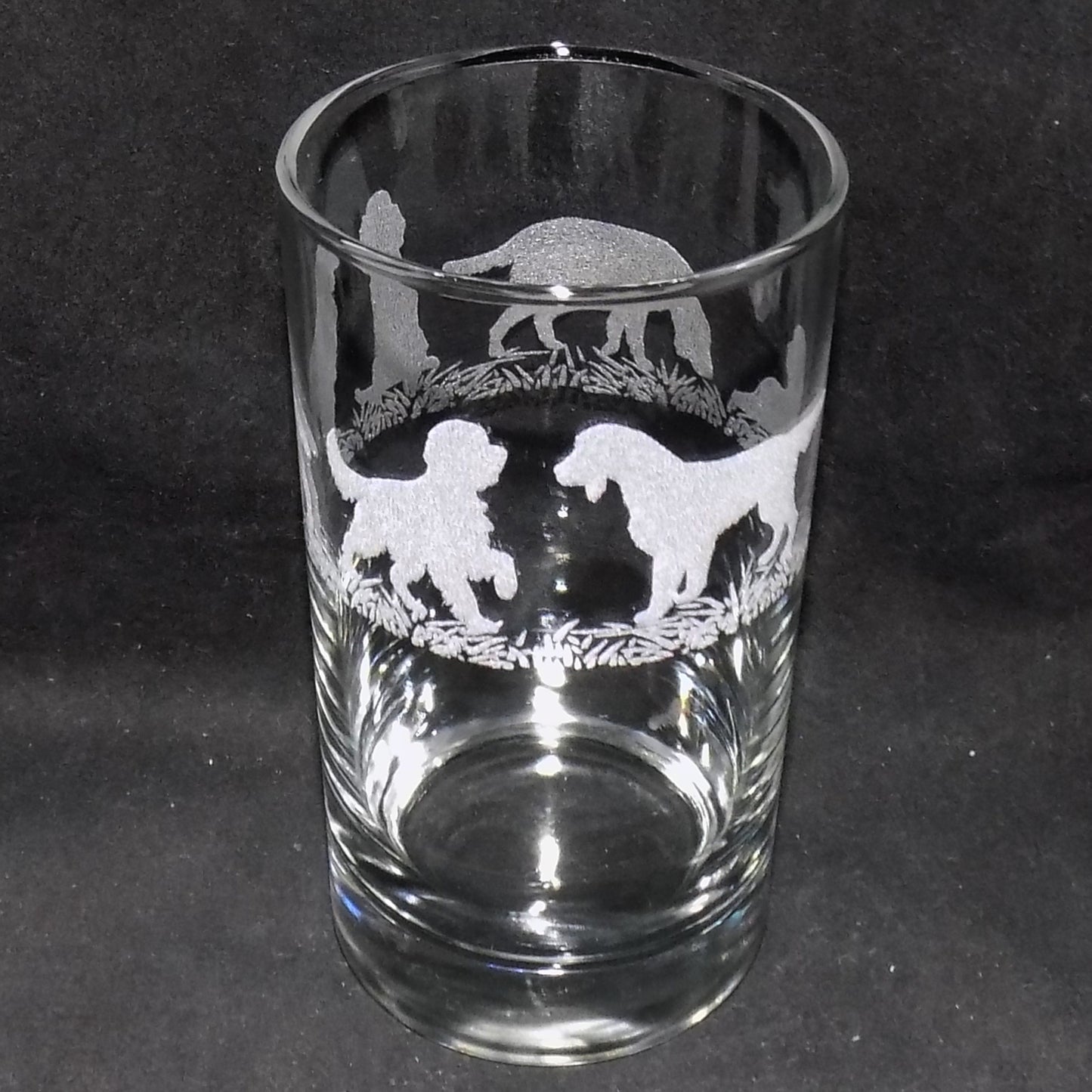 German Pointer Tall Glass