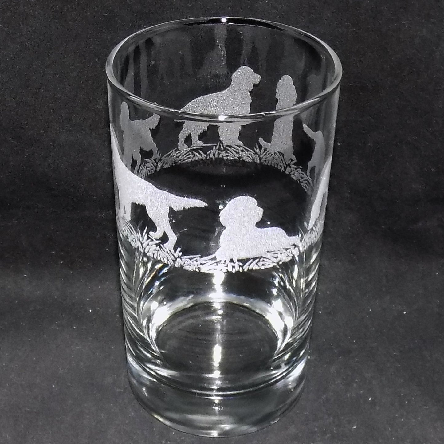 German Pointer Tall Glass