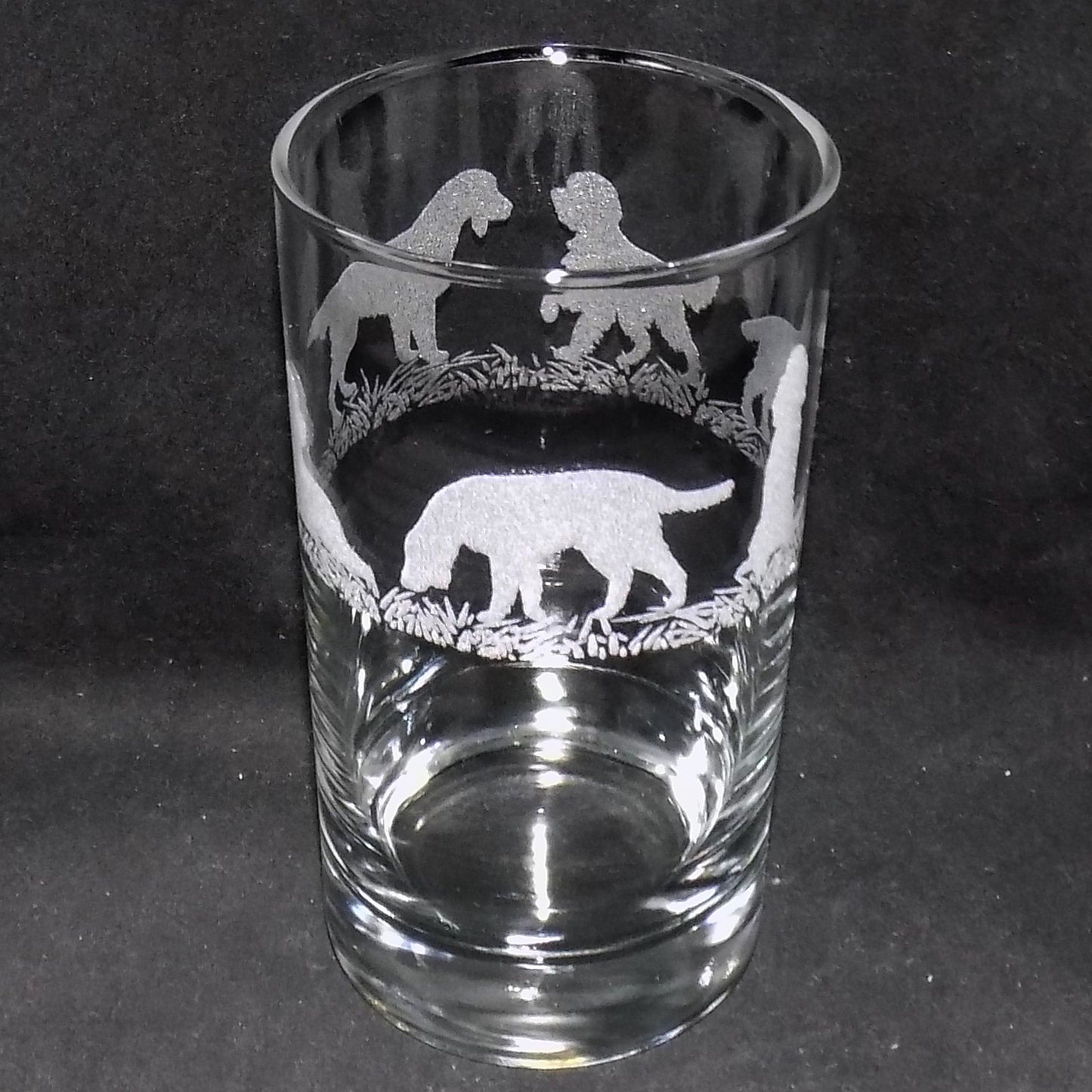 German Pointer Tall Glass