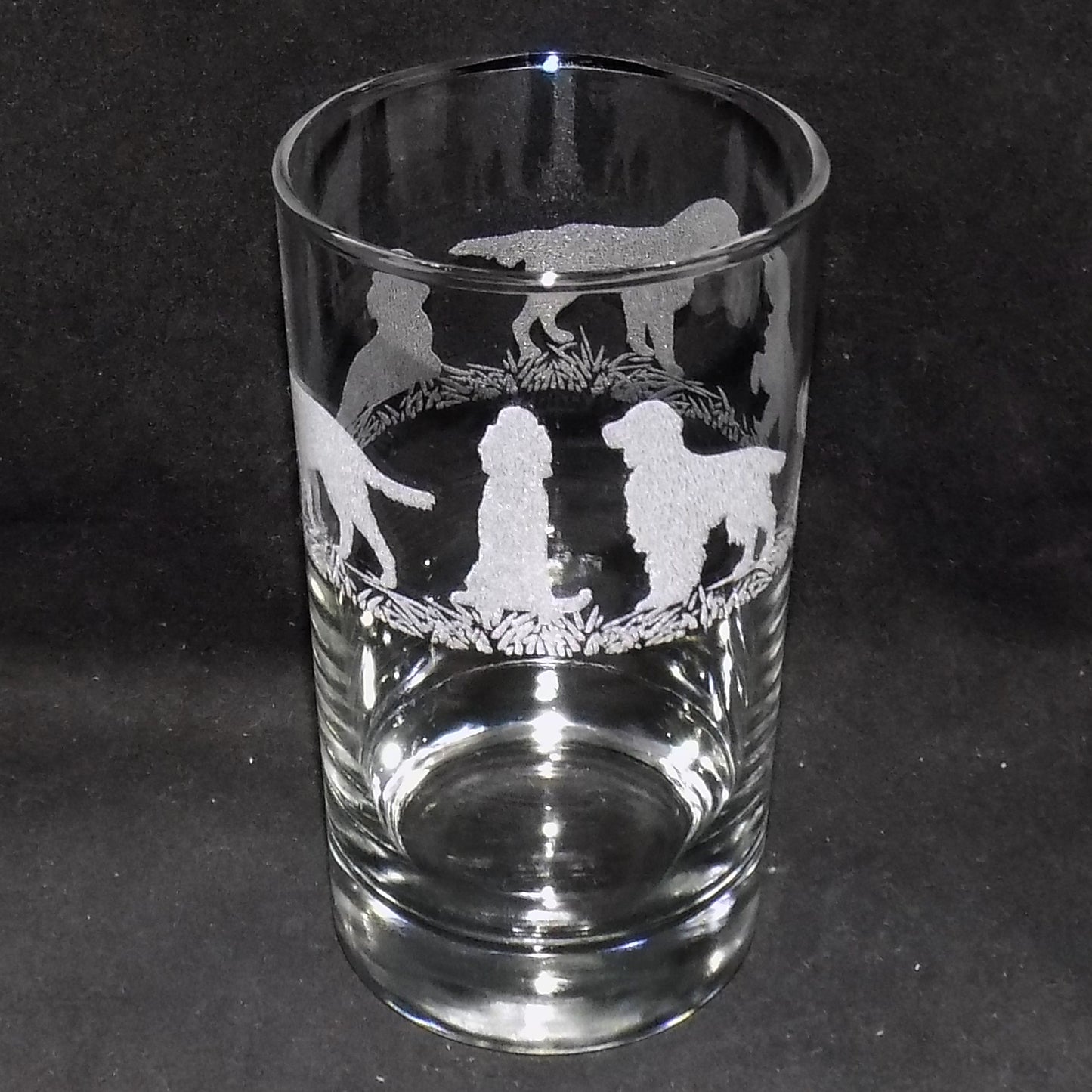 German Pointer Tall Glass