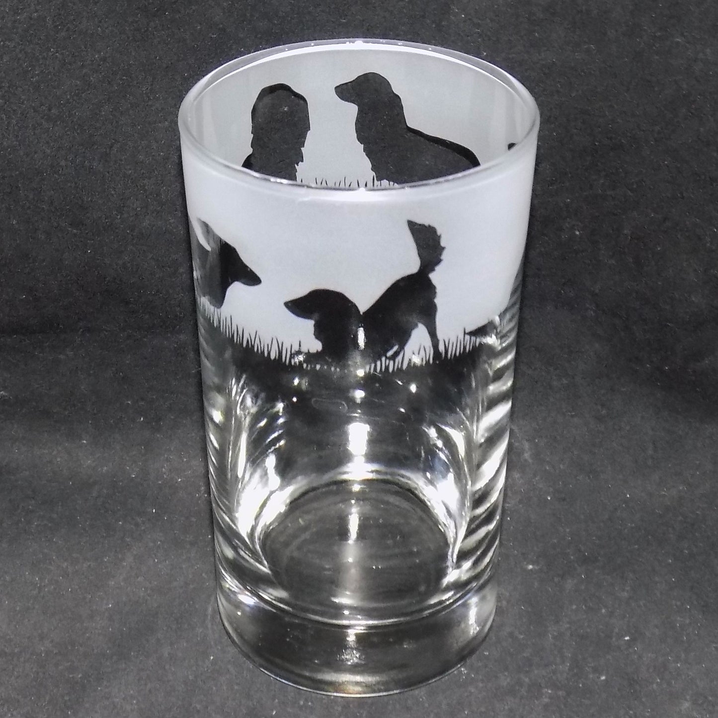 Dachshund (Long Haired) Tall Glass
