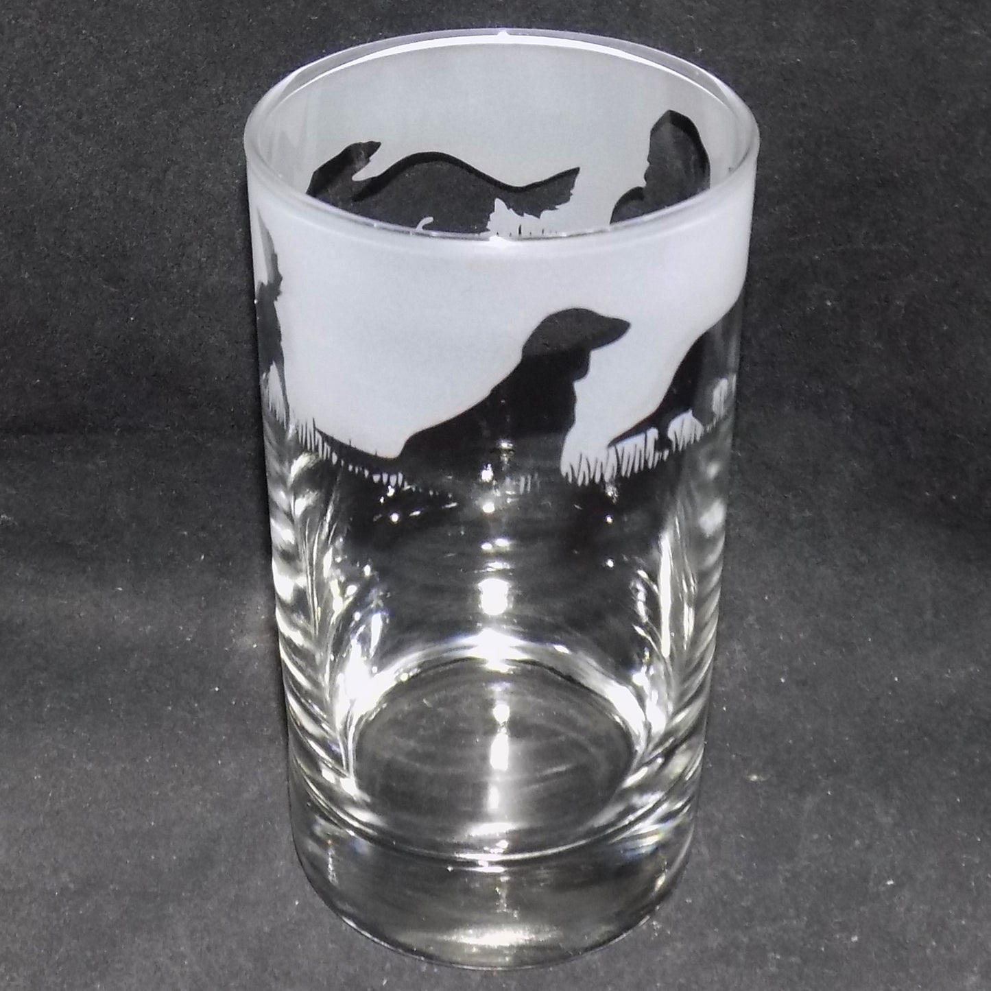 Dachshund (Long Haired) Tall Glass