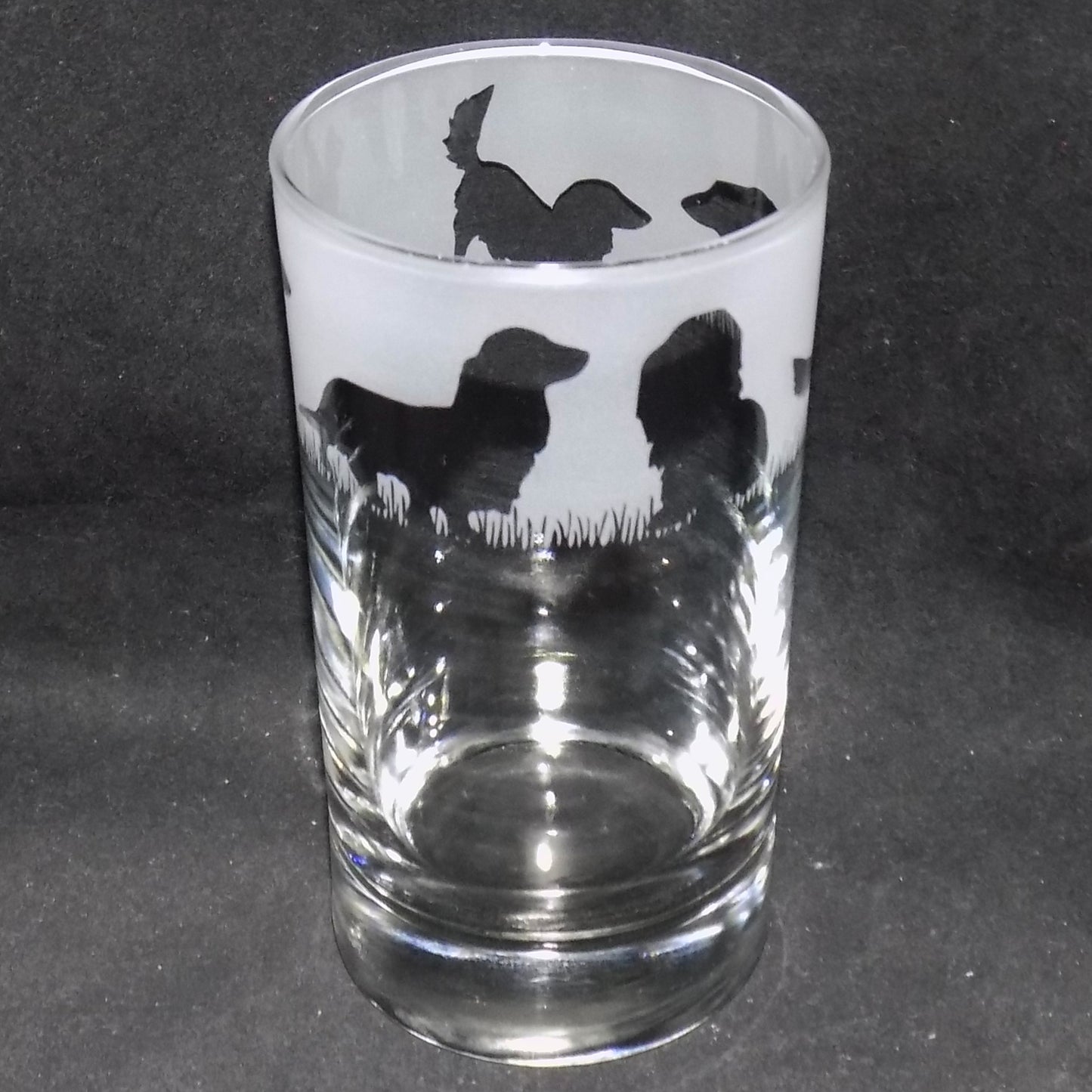 Dachshund (Long Haired) Tall Glass