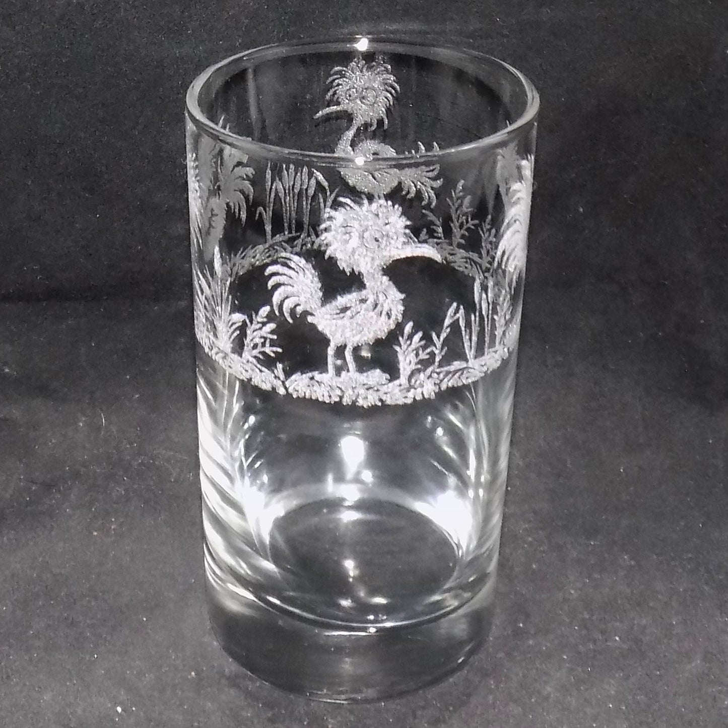 Funky Bird Tall Glass