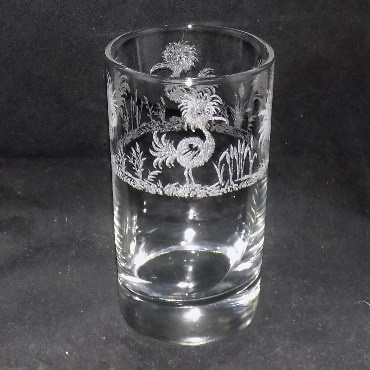 Funky Bird Tall Glass