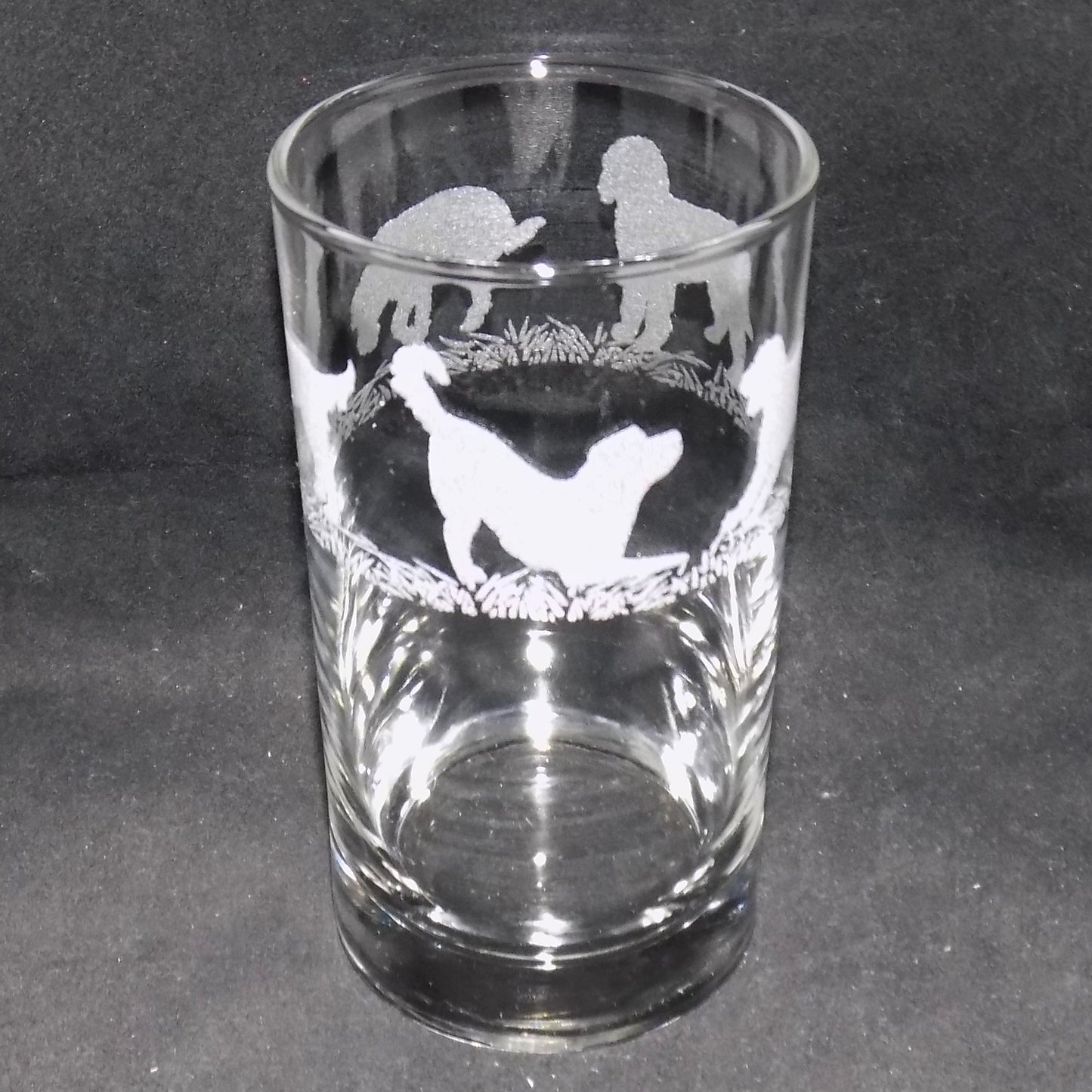 Labradoodle Tall Glass