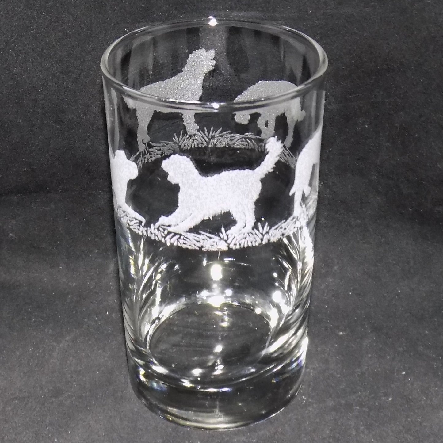 Labradoodle Tall Glass