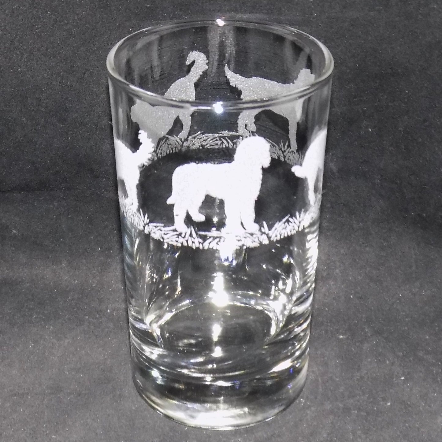 Labradoodle Tall Glass