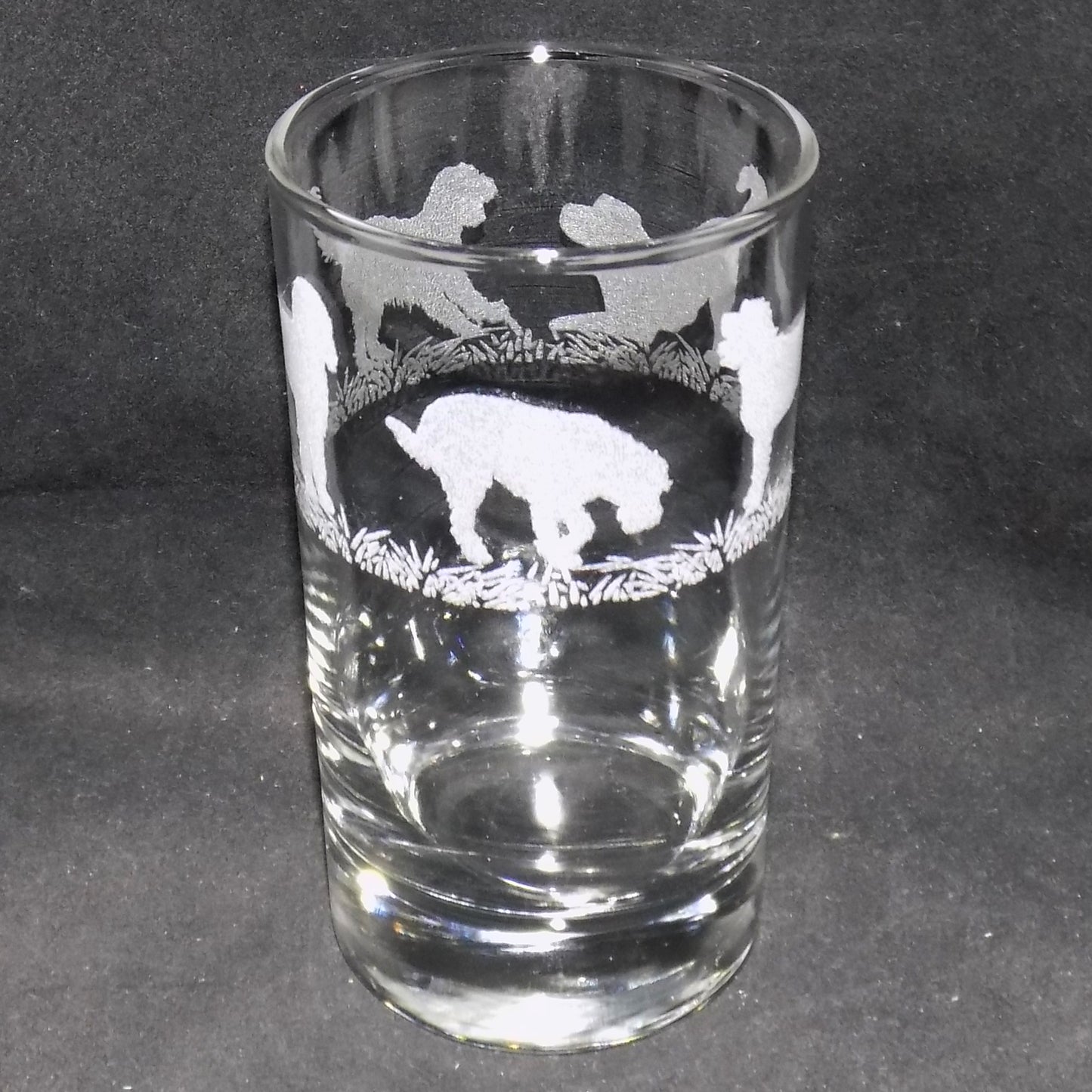Labradoodle Tall Glass