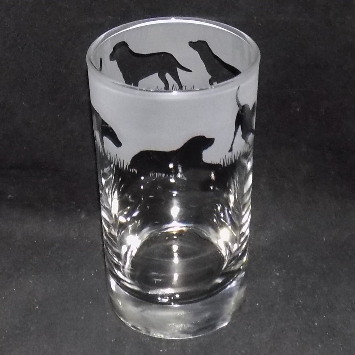 Labrador Tall Glass