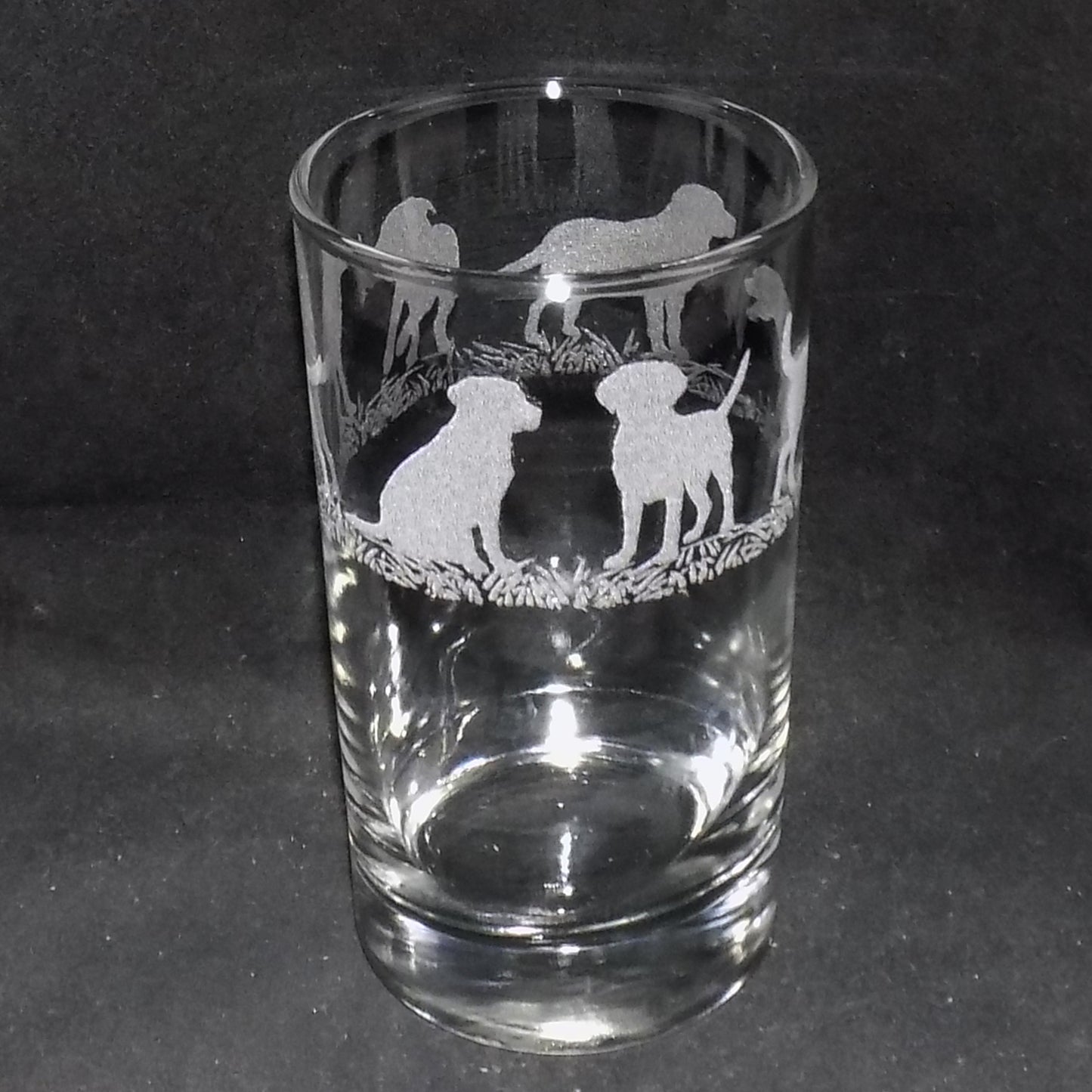 Labrador Tall Glass