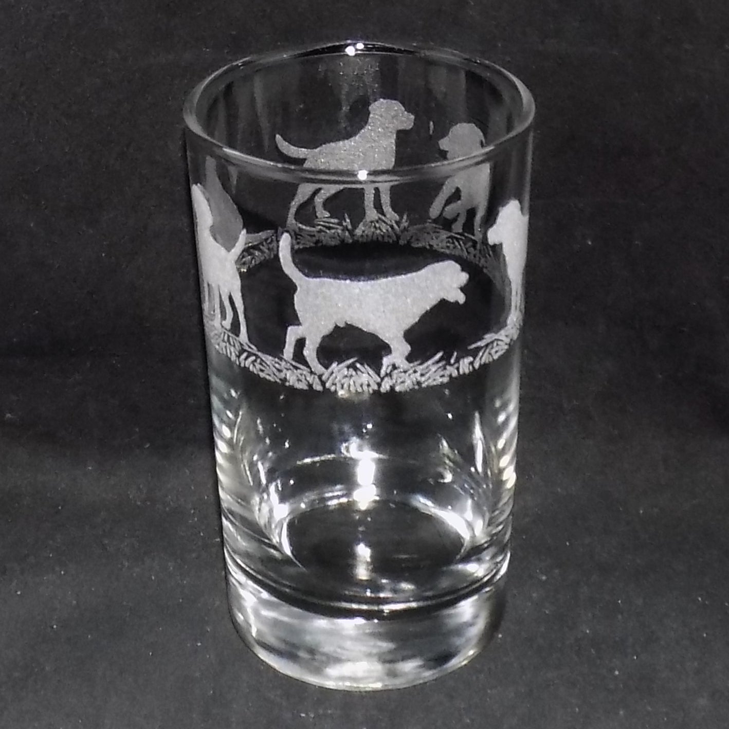 Labrador Tall Glass