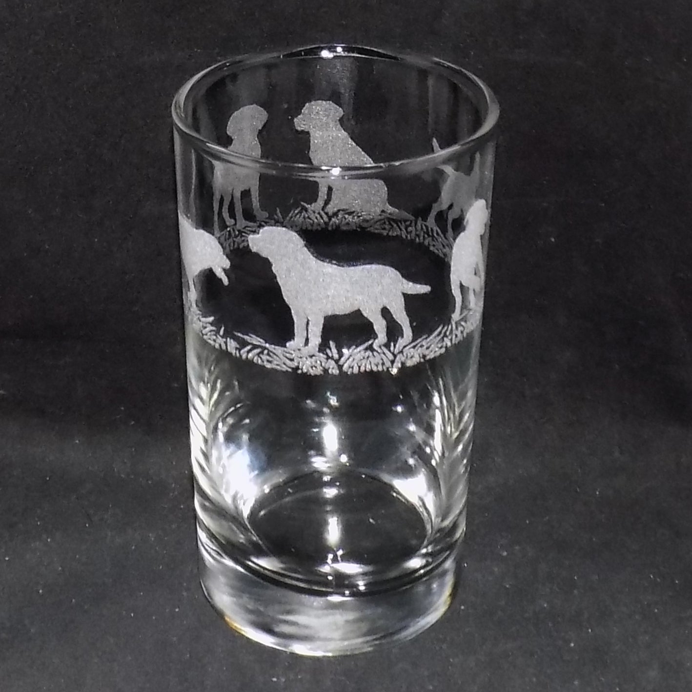 Labrador Tall Glass