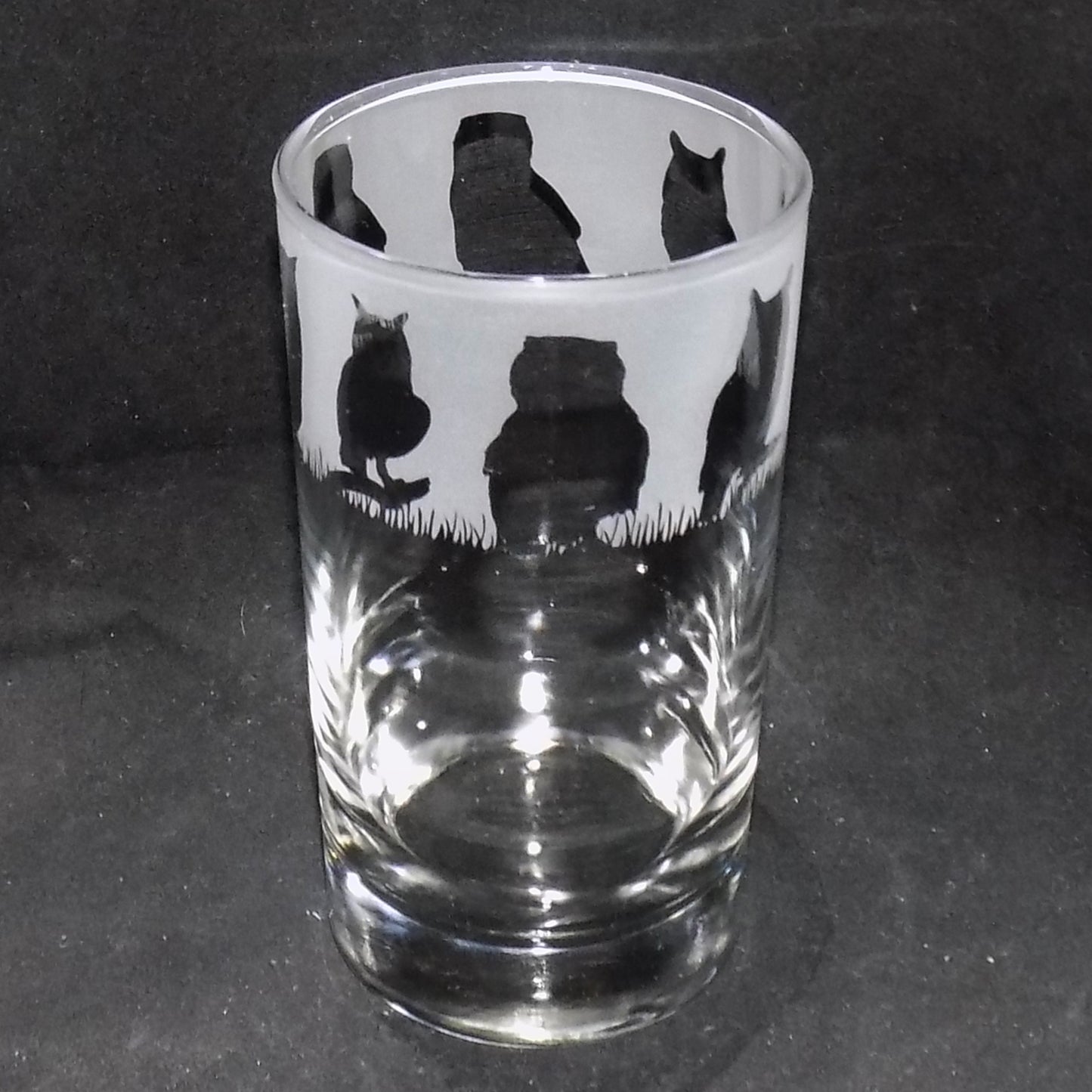 Owl Tall Glass