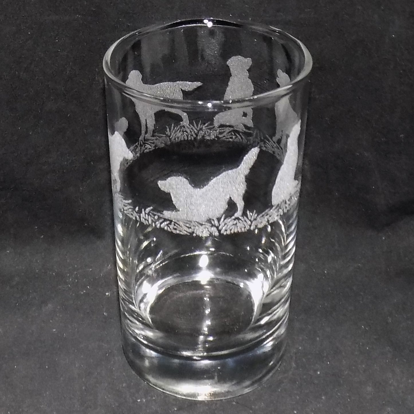 Golden Retriever Tall Glass