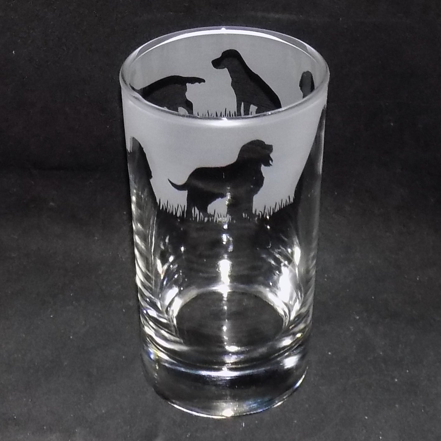 Springer Spaniel Tall Glass