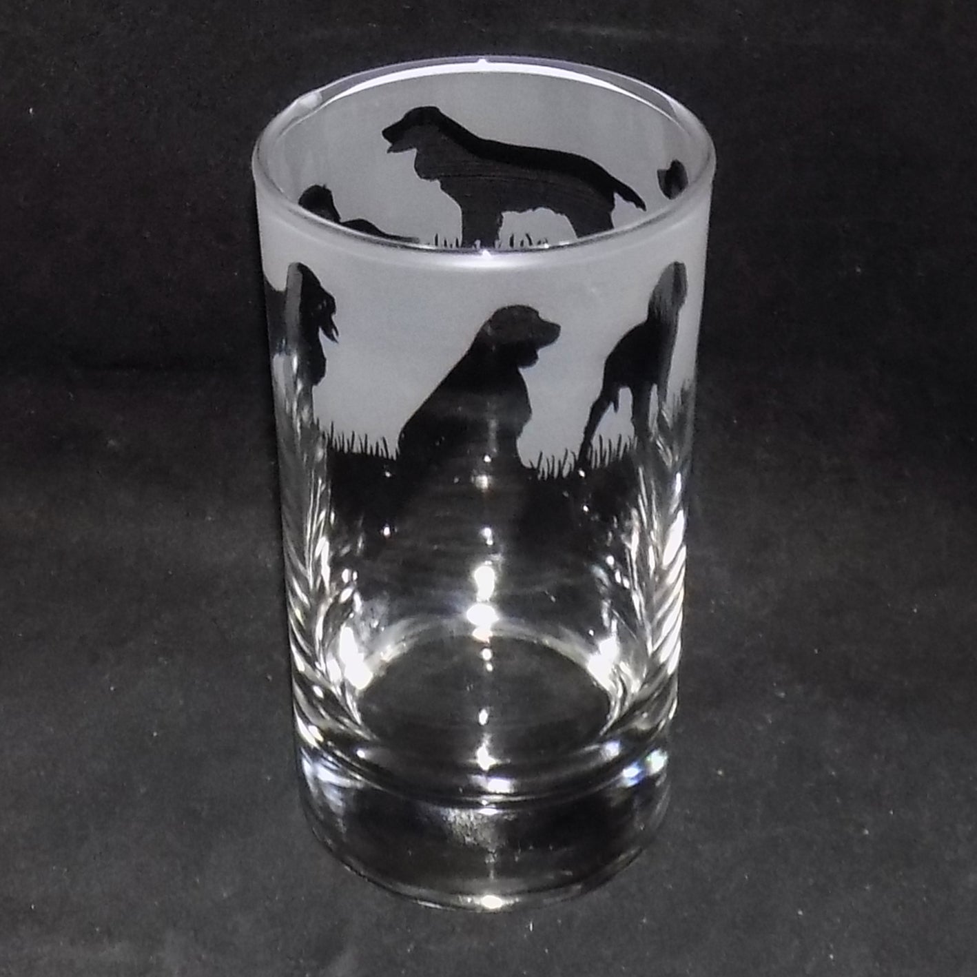 Springer Spaniel Tall Glass