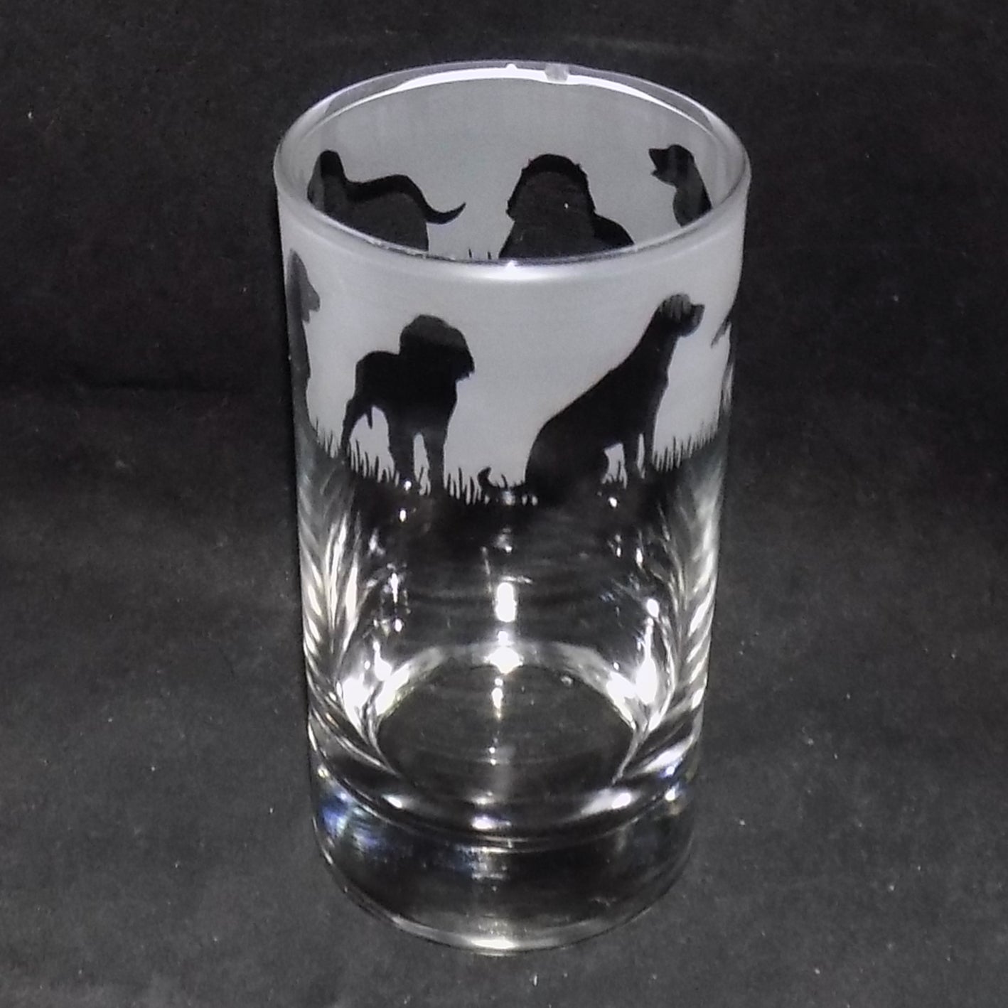 Springer Spaniel Tall Glass