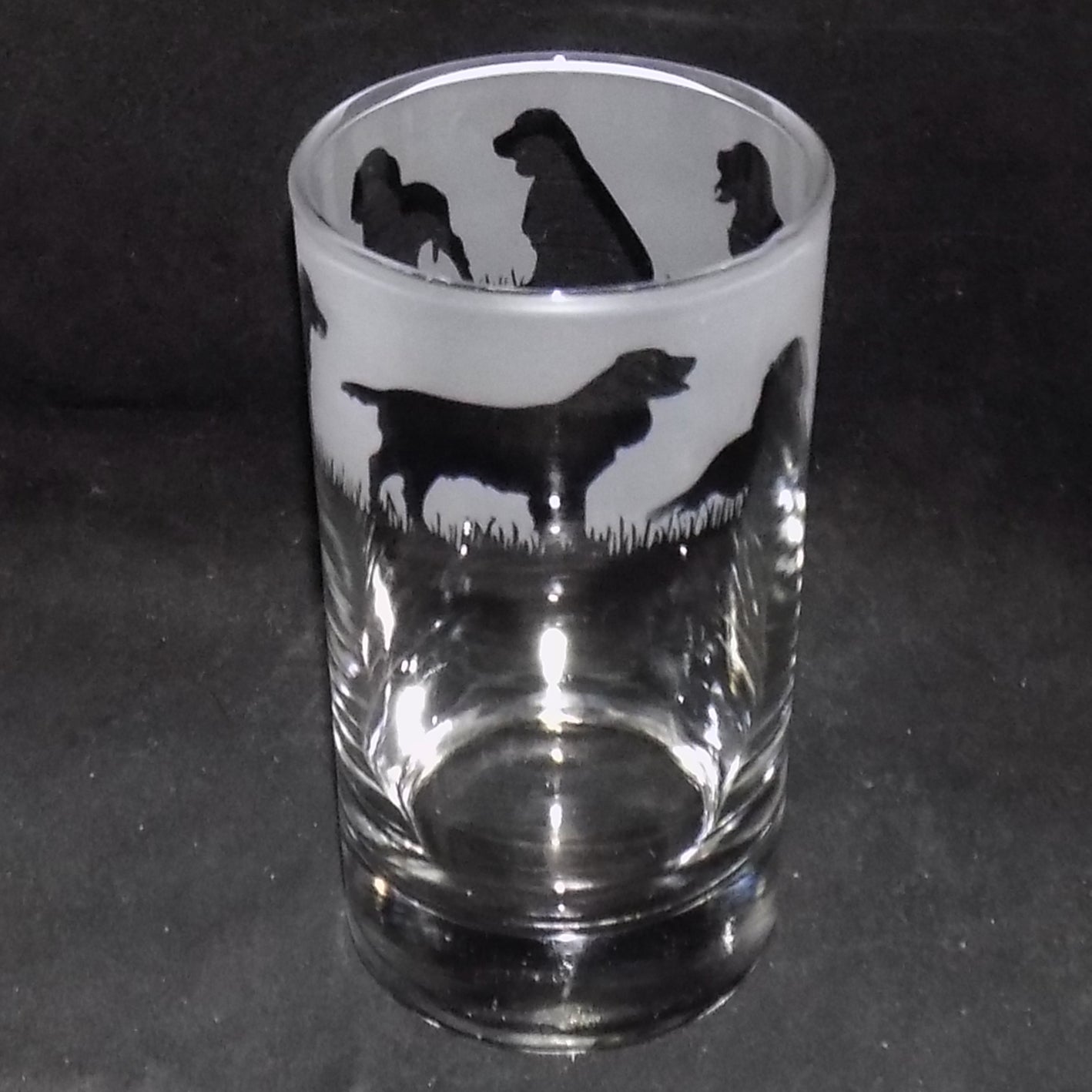Springer Spaniel Tall Glass