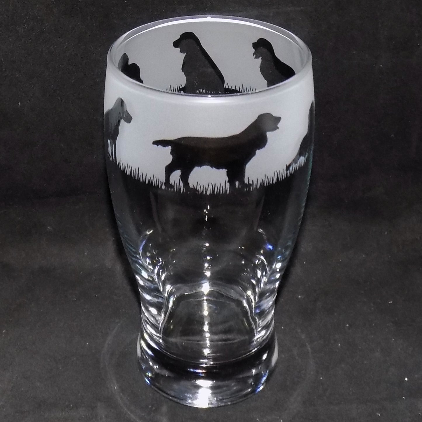 Springer Spaniel Pint Glass