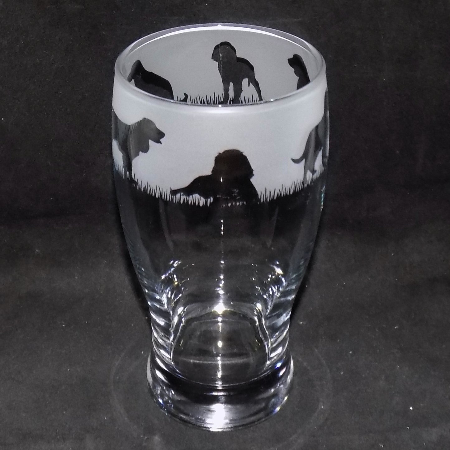 Springer Spaniel Pint Glass