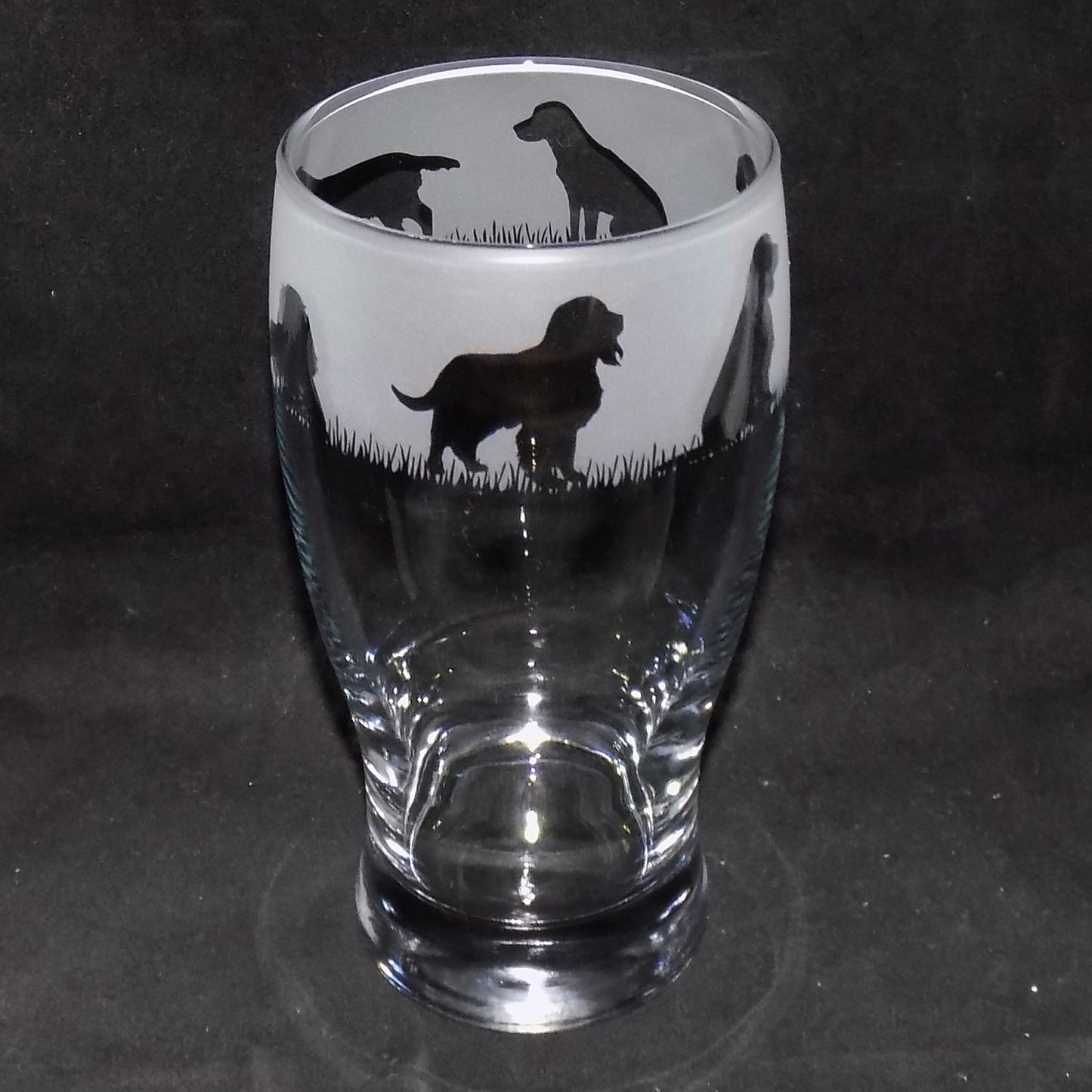 Springer Spaniel Pint Glass
