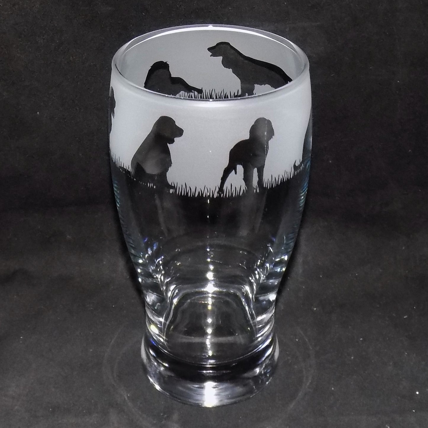 Springer Spaniel Pint Glass
