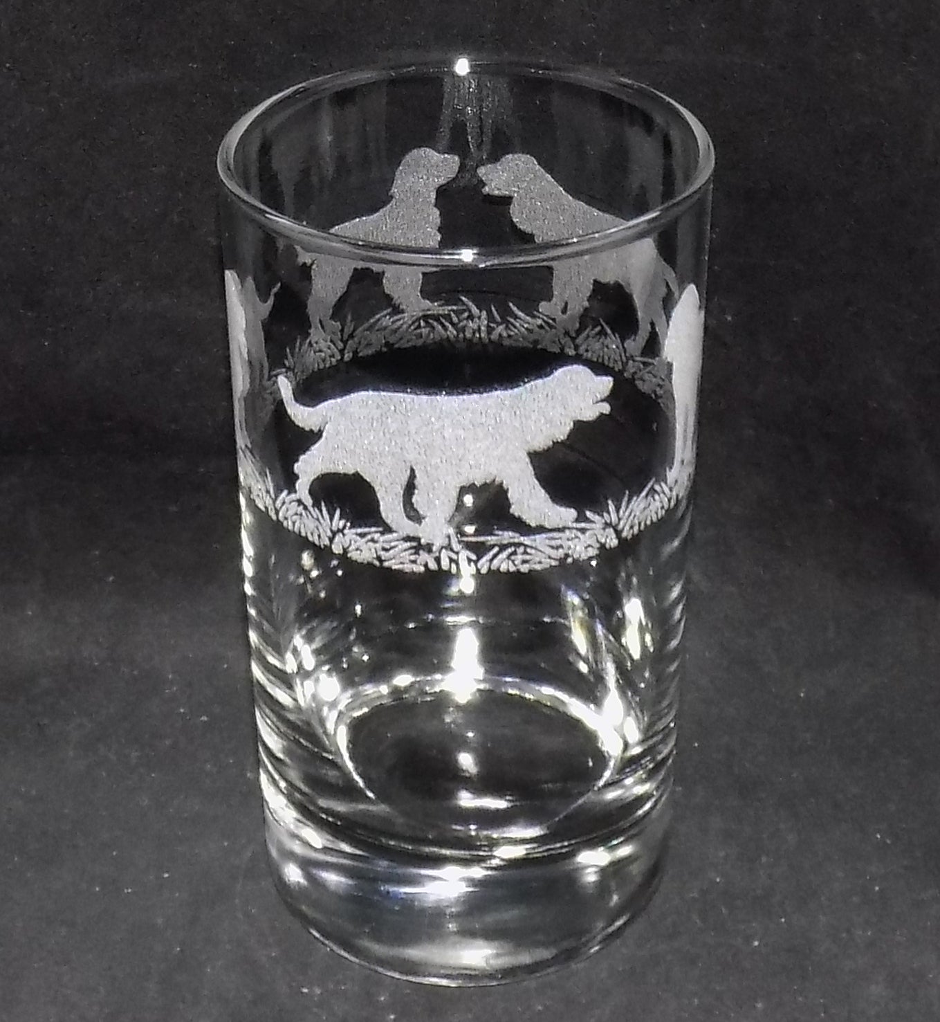 Springer Spaniel Tall Glass