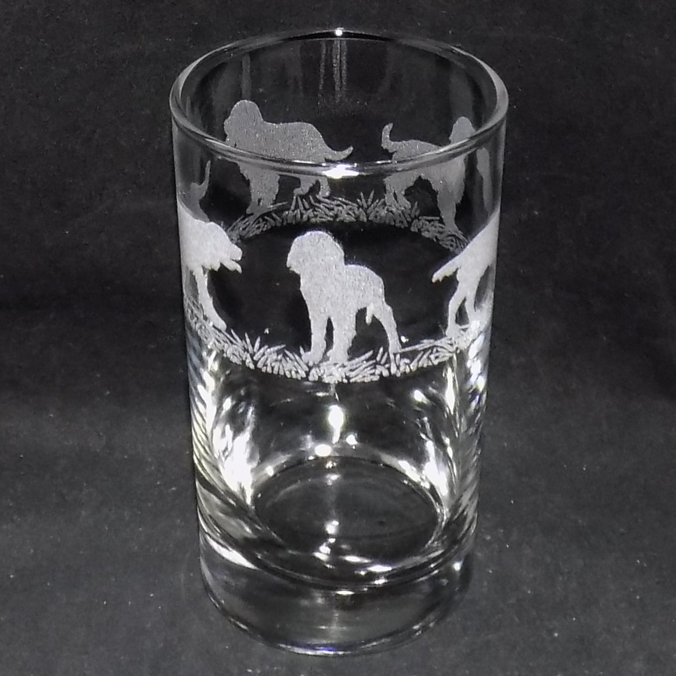 Springer Spaniel Tall Glass