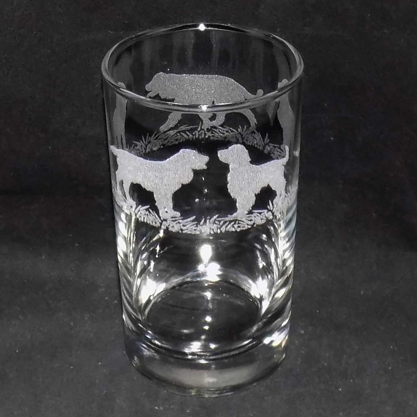 Springer Spaniel Tall Glass