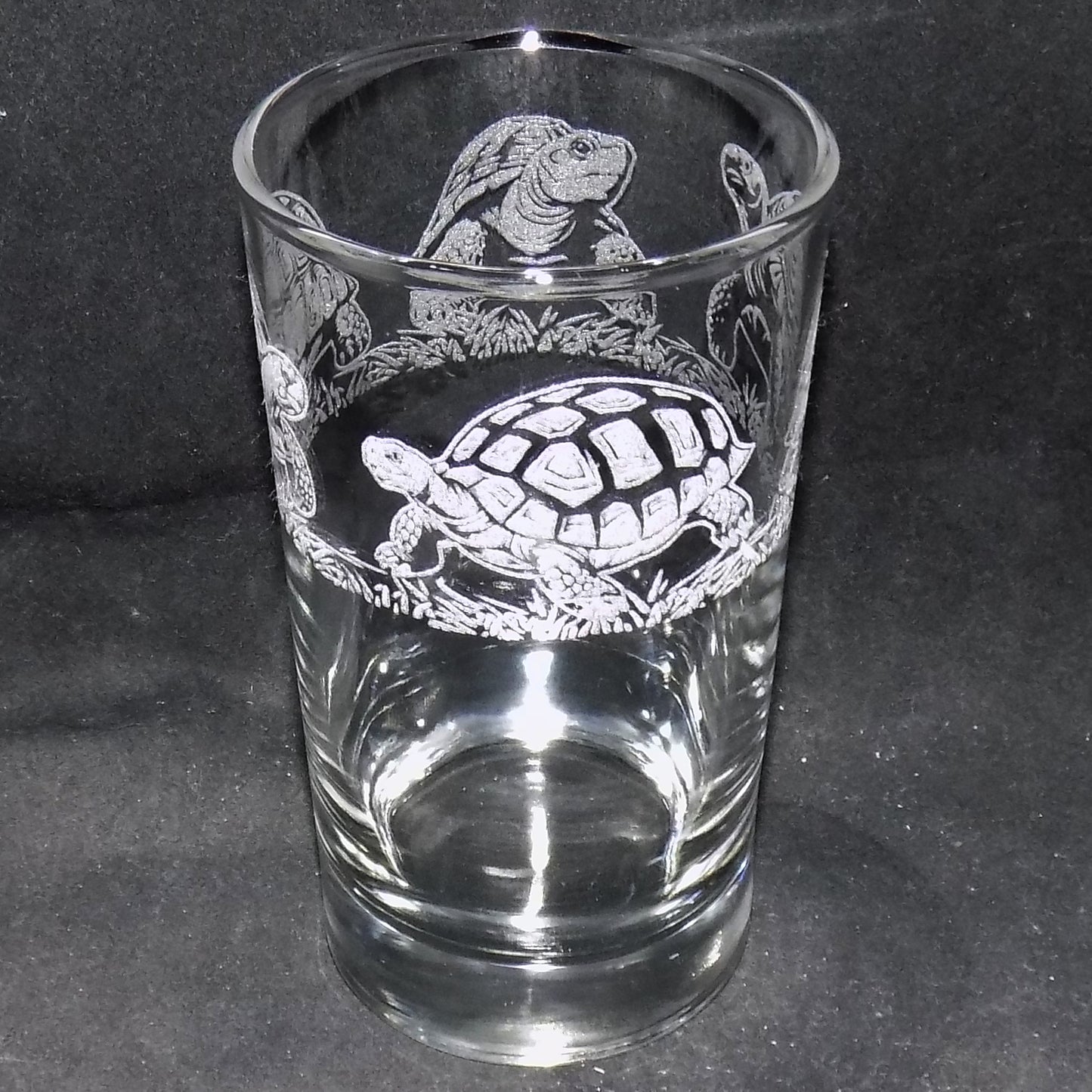Tortoise Tall Glass