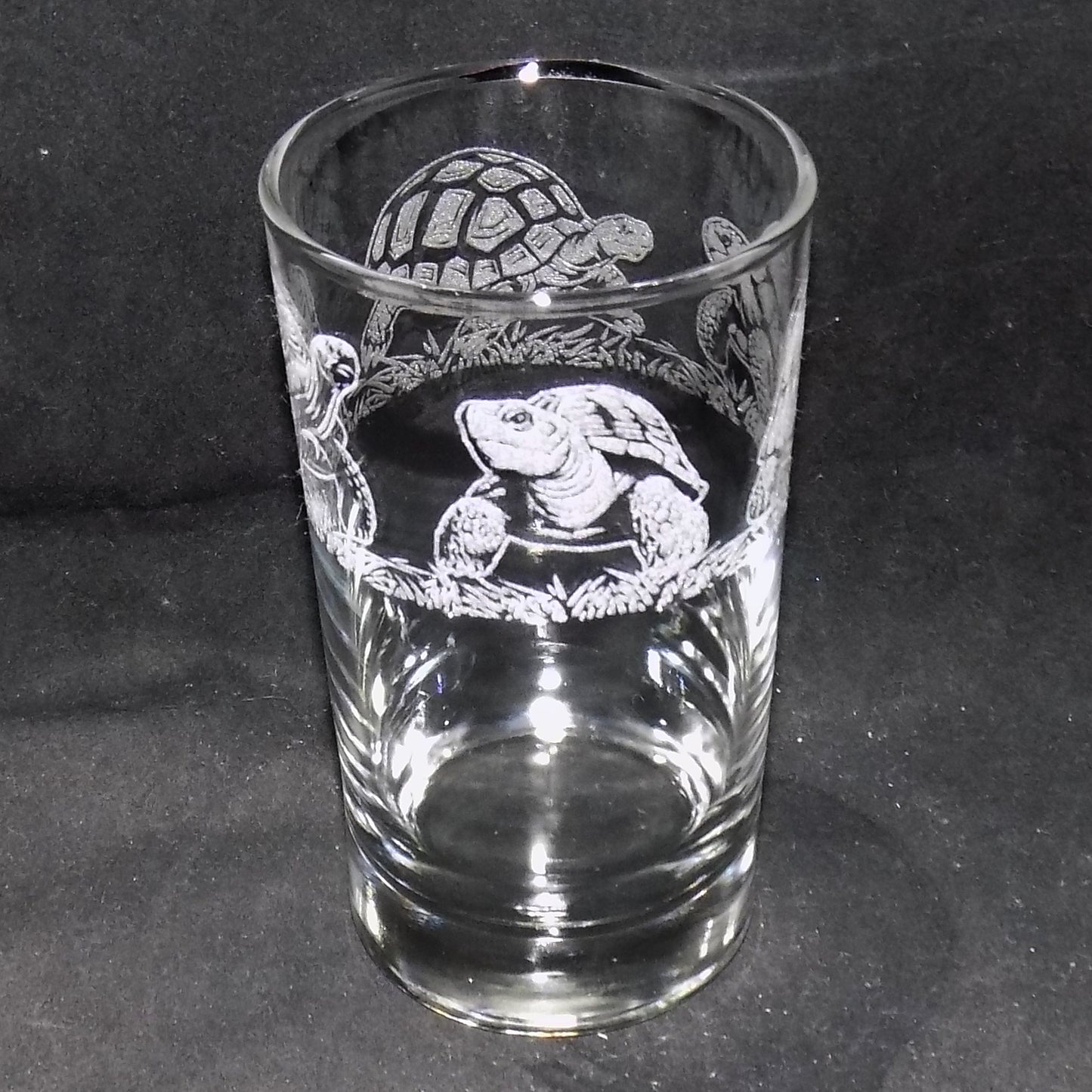 Tortoise Tall Glass