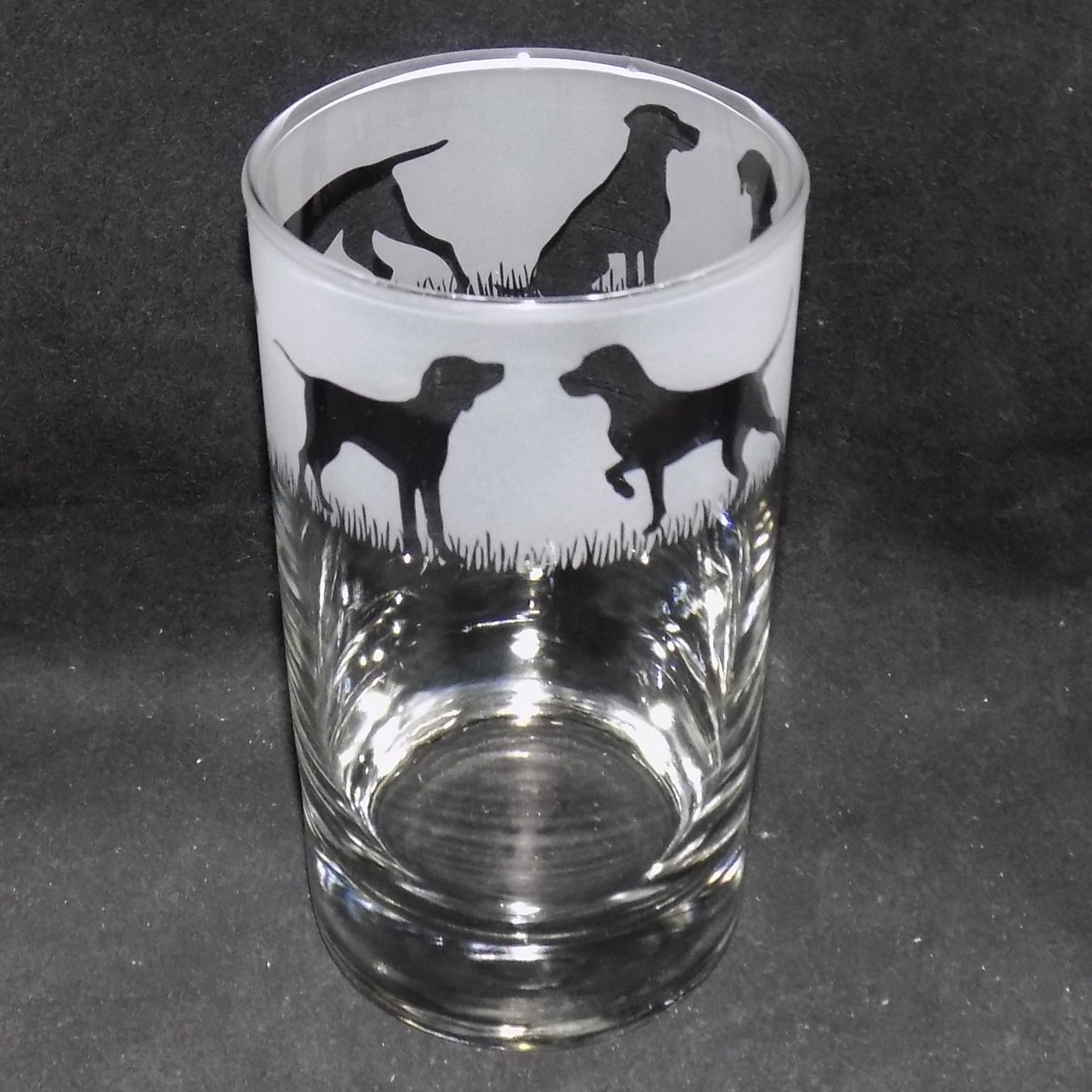 Hungarian Vizsla Tall Glass