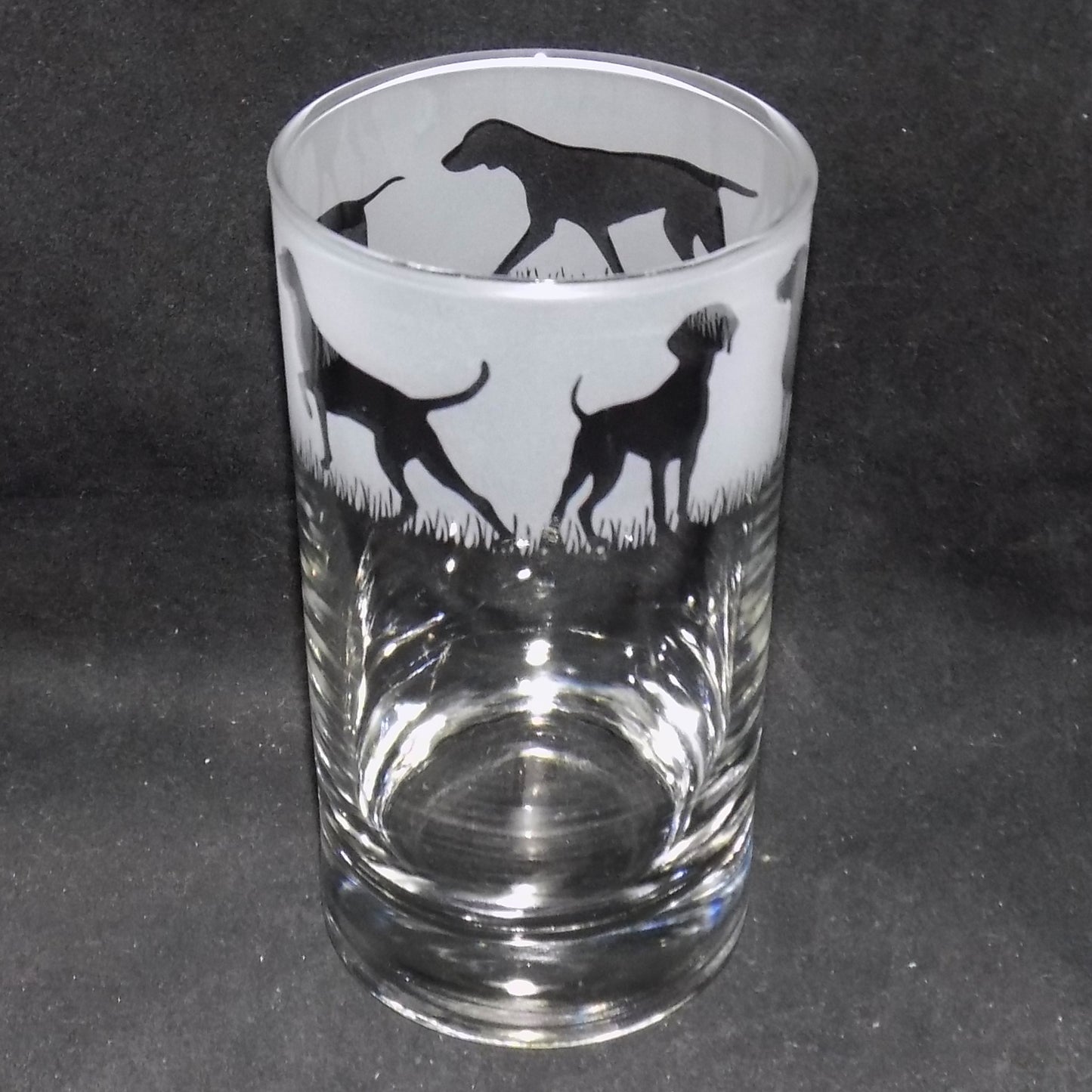 Hungarian Vizsla Tall Glass