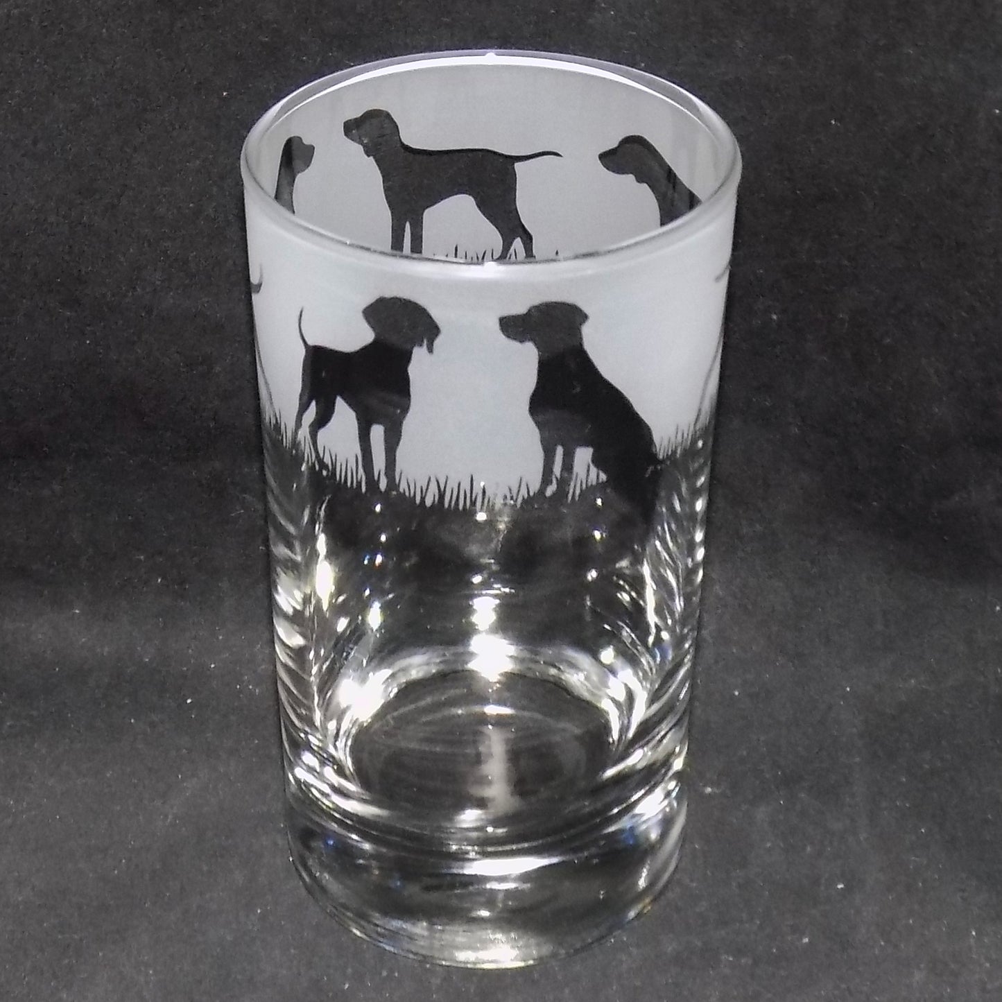 Hungarian Vizsla Tall Glass