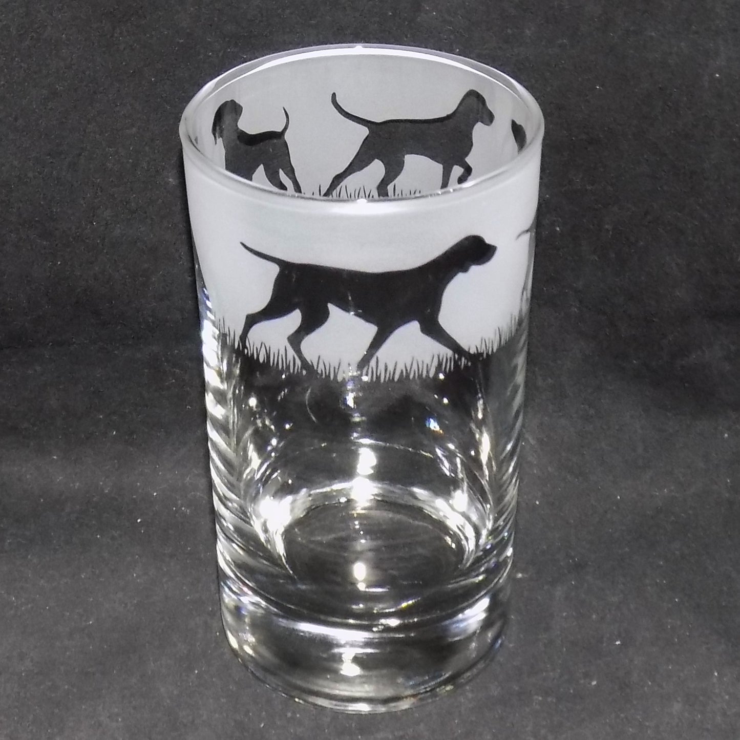 Hungarian Vizsla Tall Glass